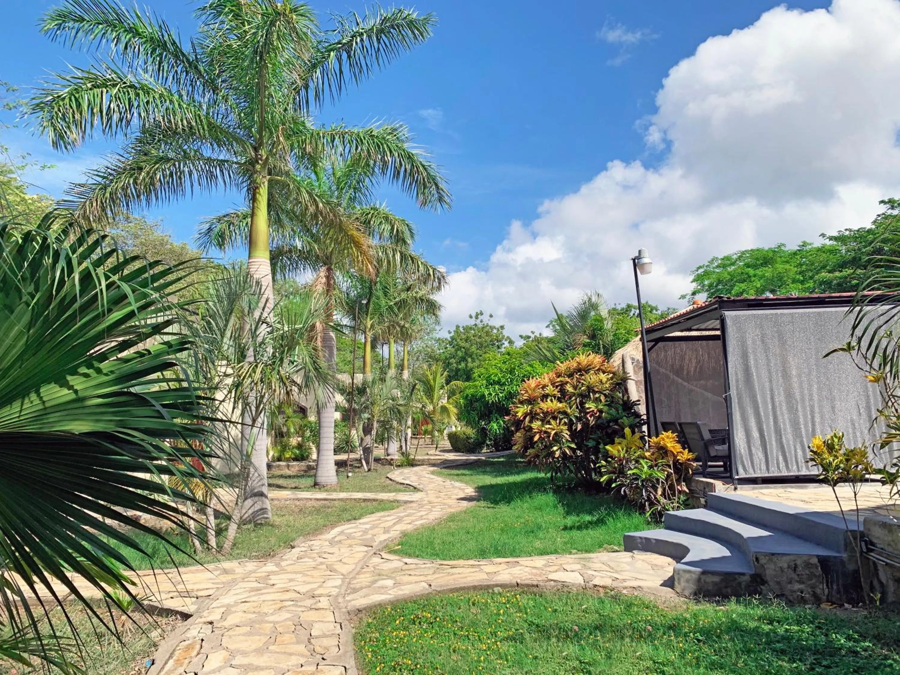 View (from property/room) in Surf Ranch Hotel & Resort