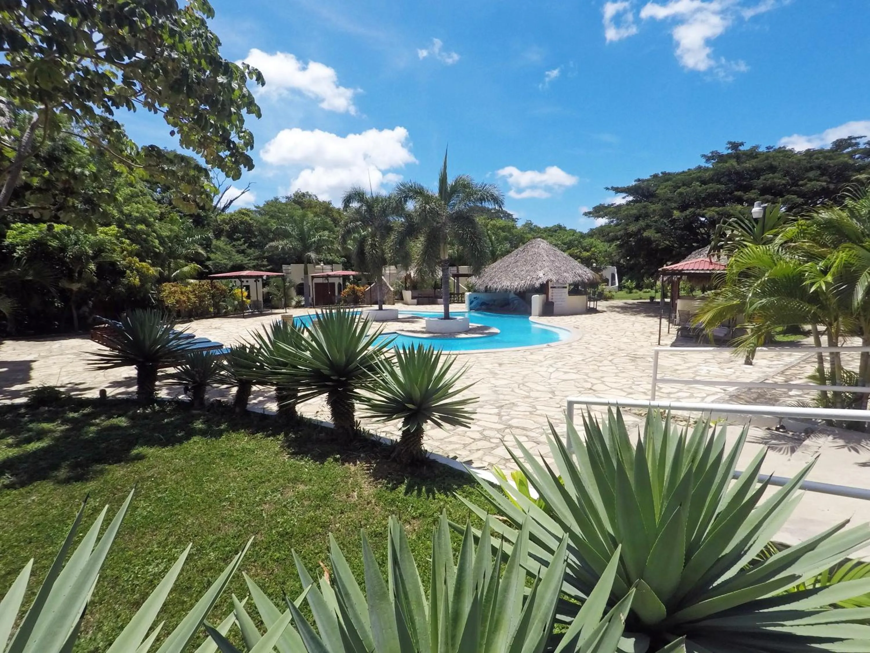 Garden in Surf Ranch Hotel & Resort
