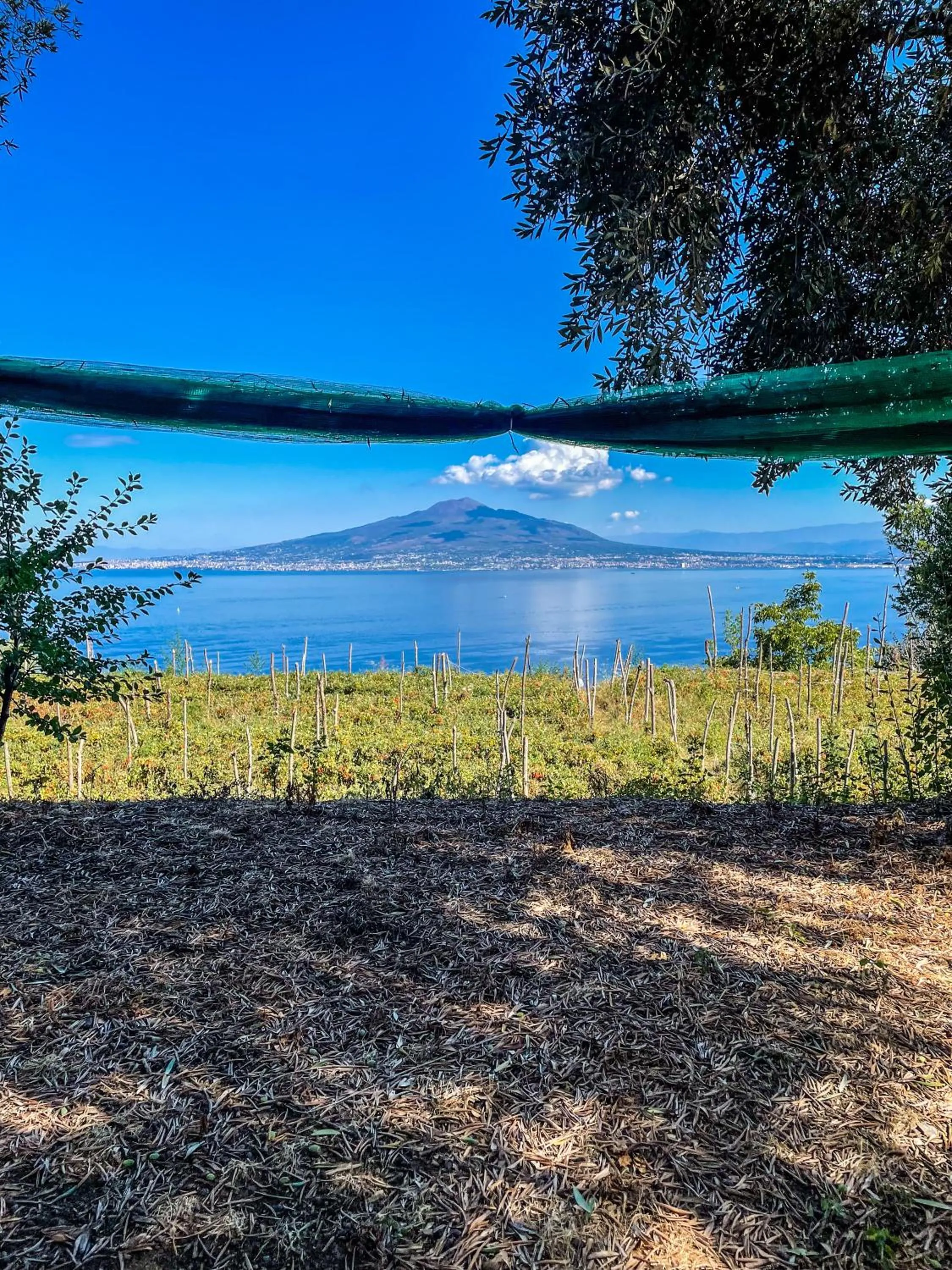 ANTICA TENUTA CELOTTO