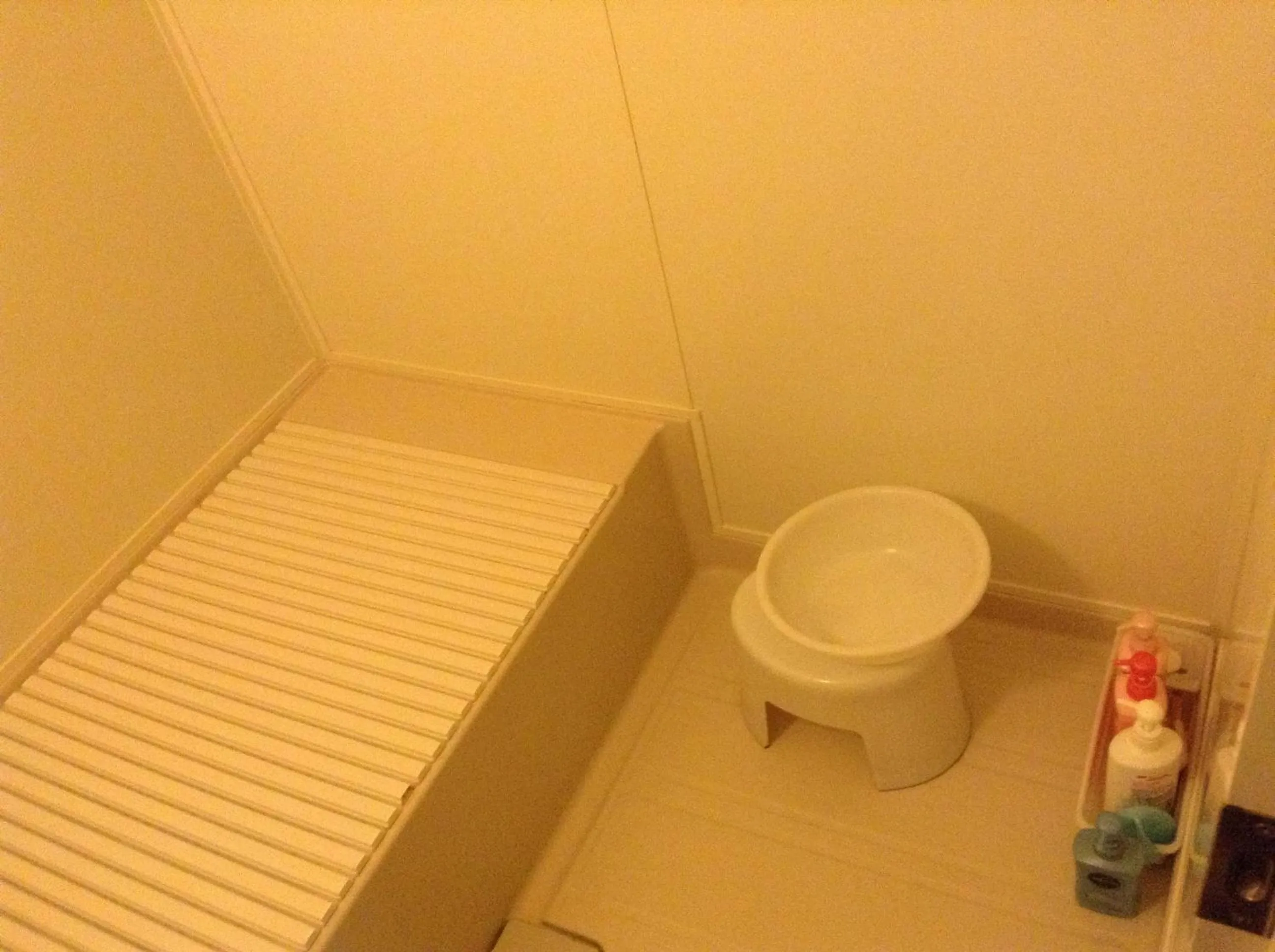 Bathroom in Furano Minshuku Akiba