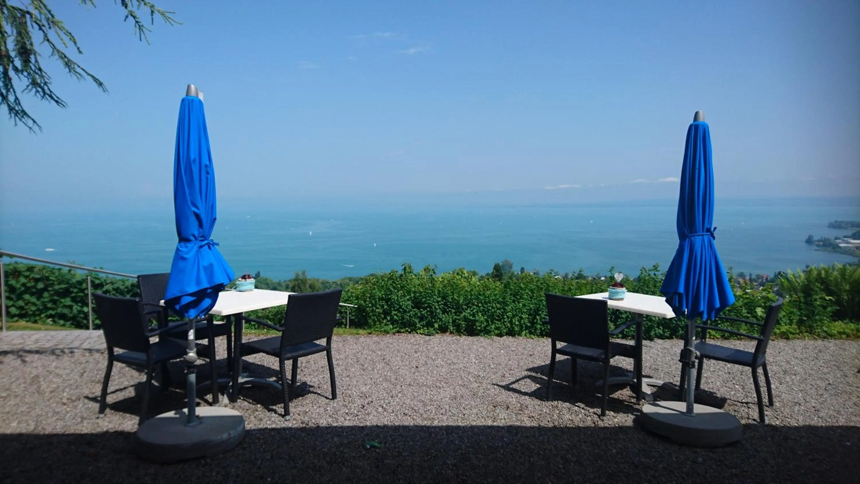 Lake view in Schloss Wartensee