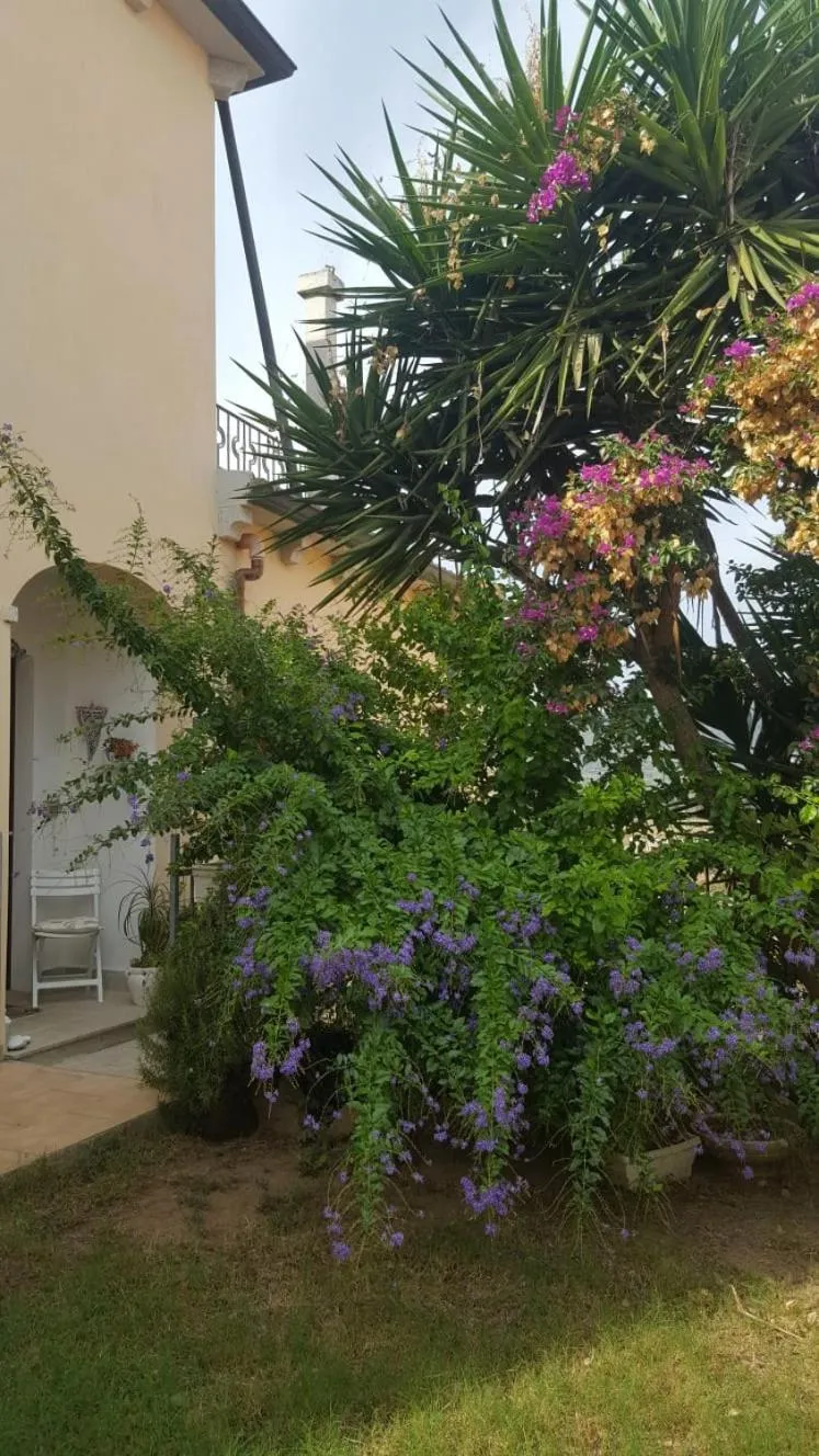 Property building in B&B Villa Orchidea