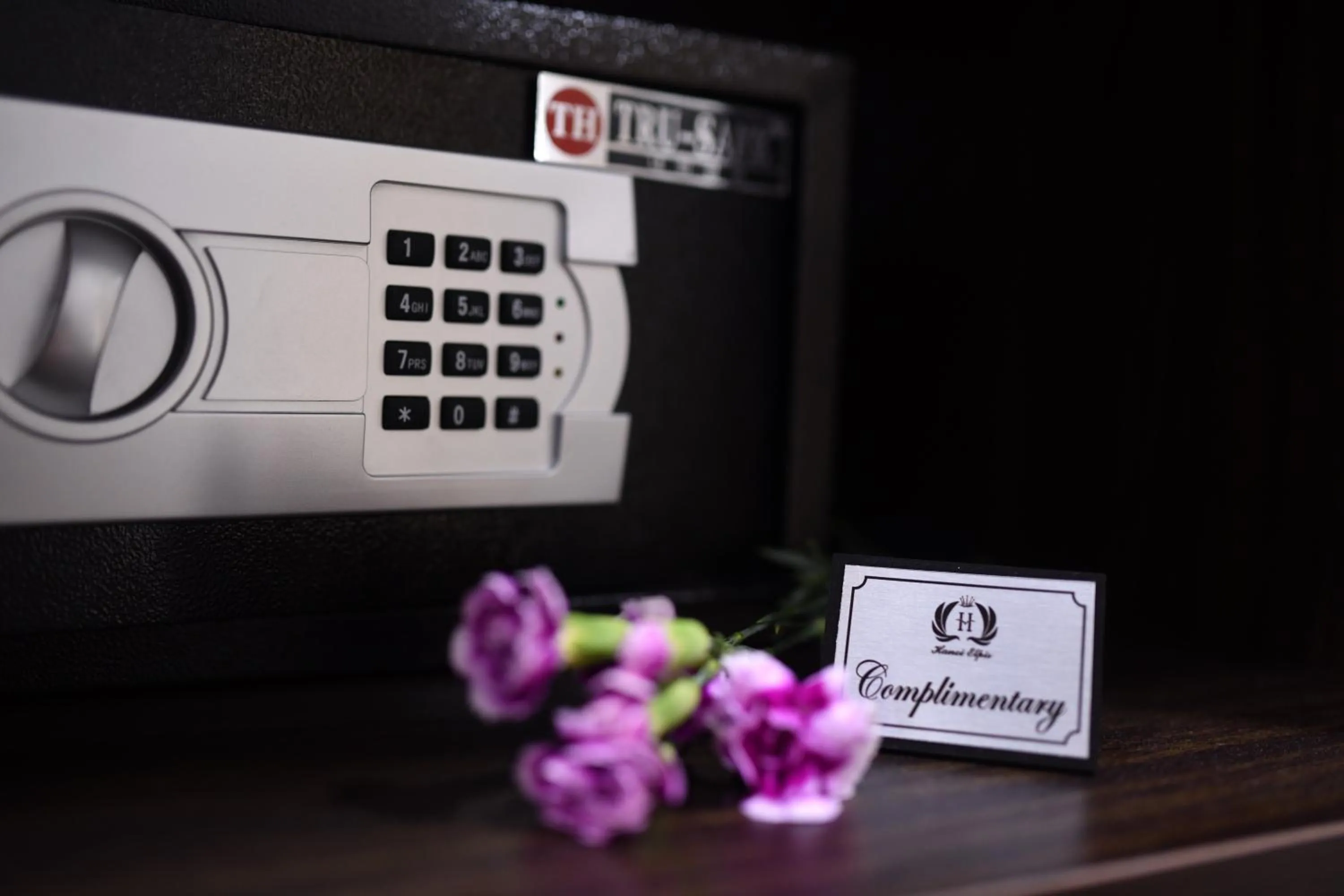 Property logo or sign in Hanoi Elpis Grand Hotel