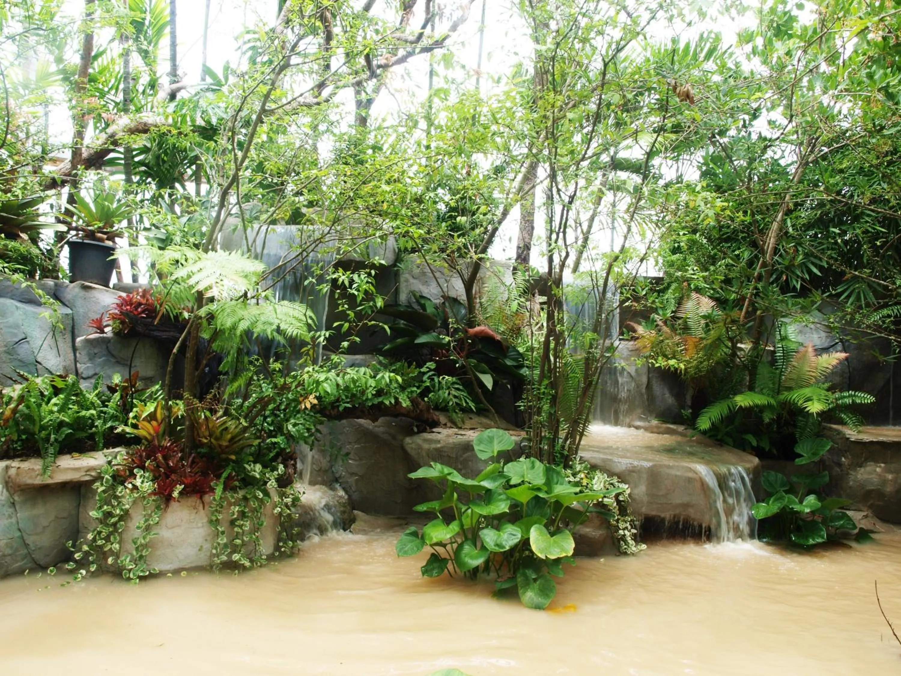 Garden in Taman Resort