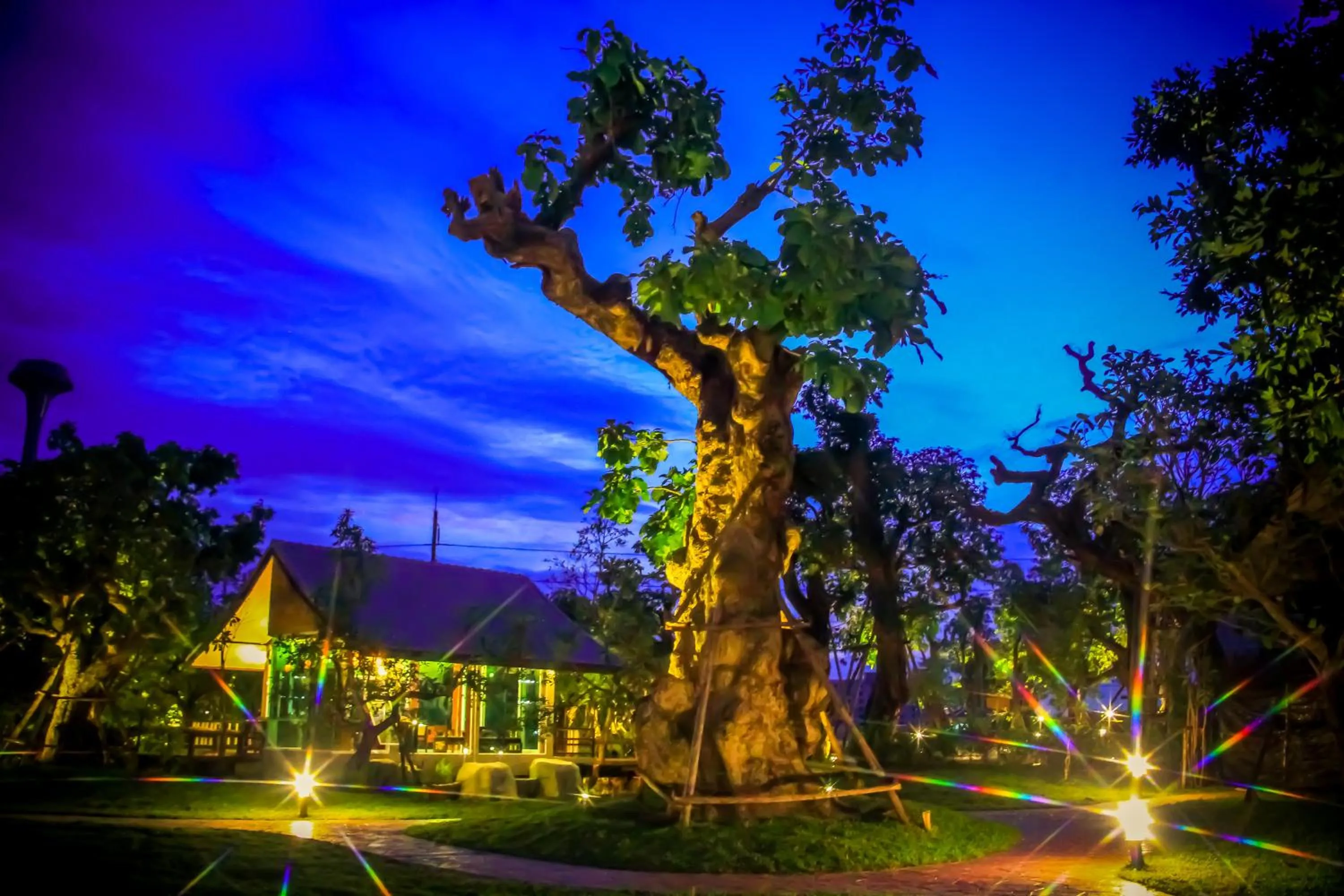 Area and facilities in Taman Resort