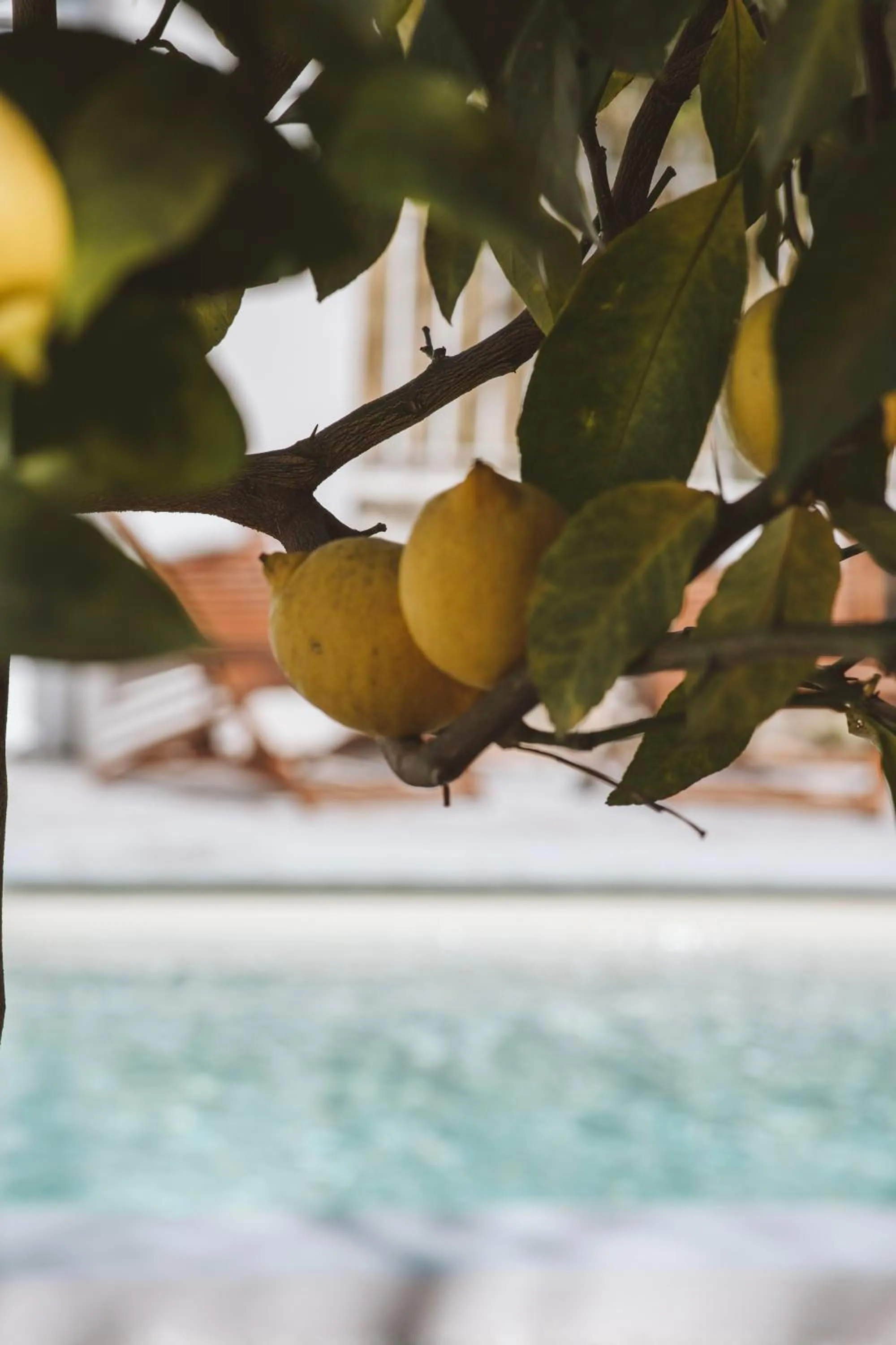 Restaurant/places to eat in Hôtel Le Sud