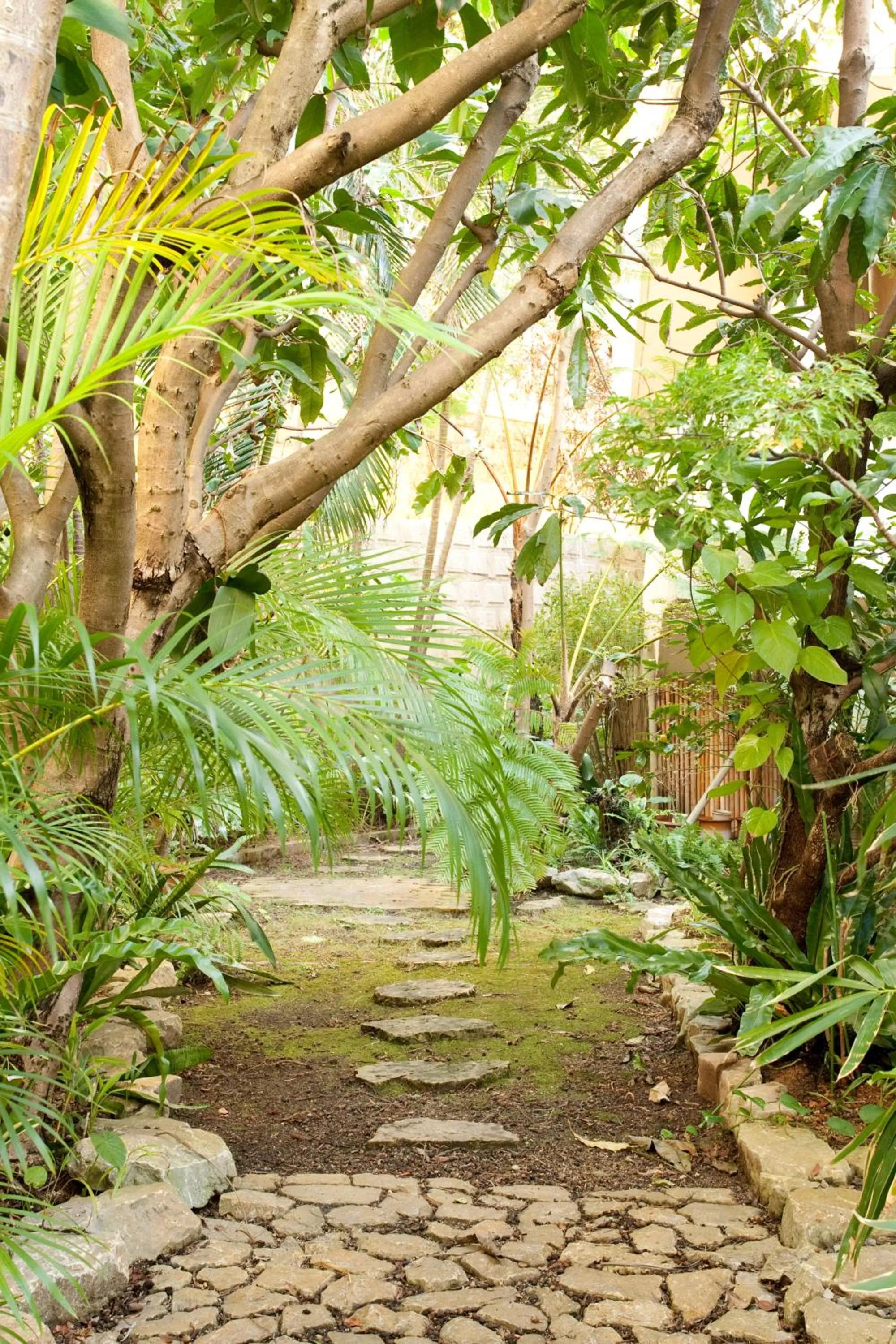 Garden in Okinawa Hotel