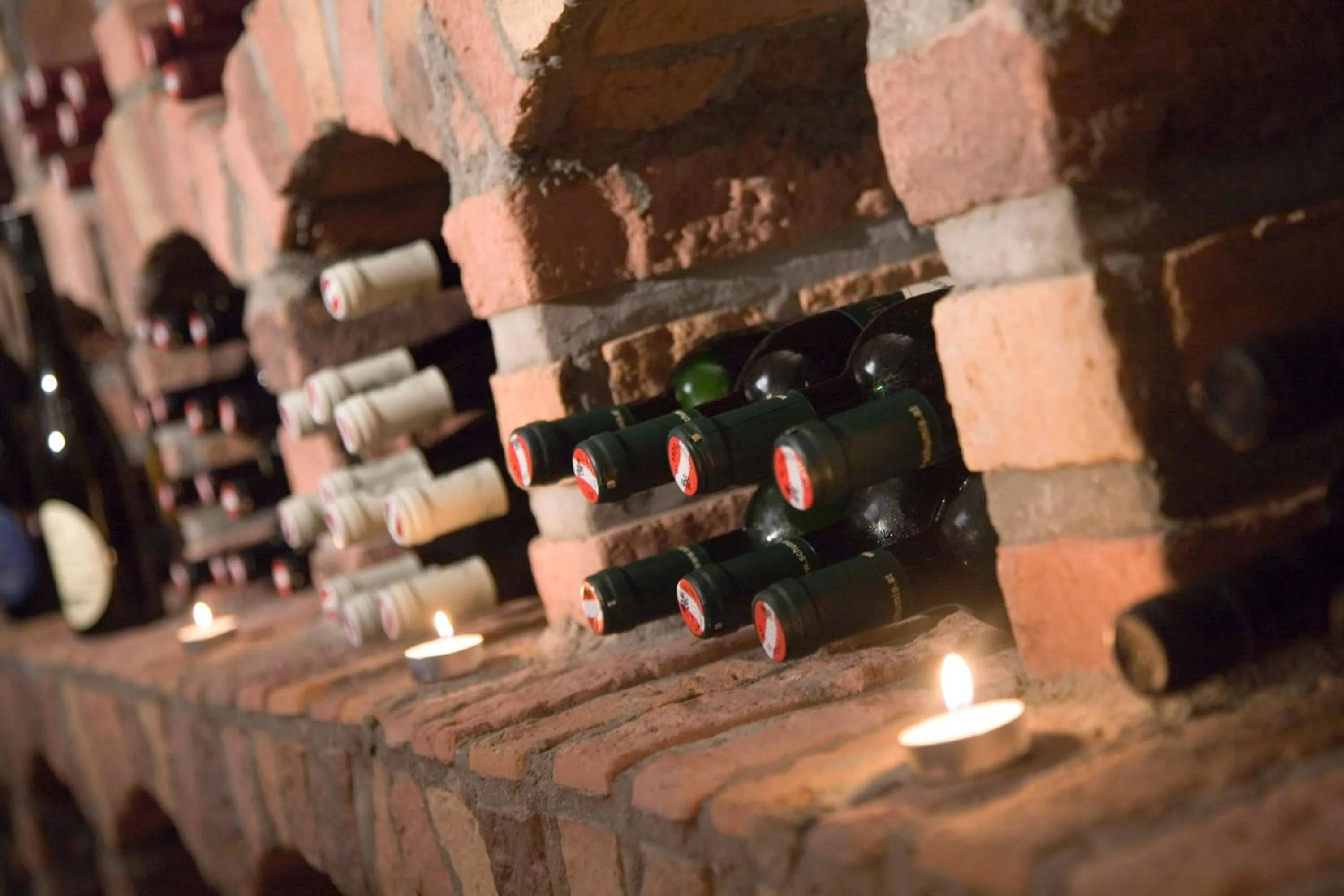 Drinks in Hotel Alpina