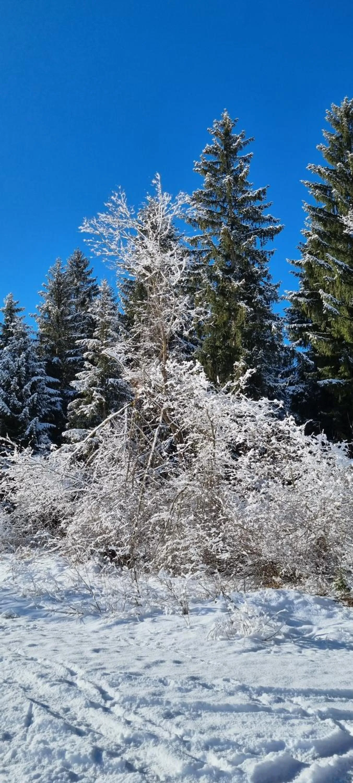 Winter in Aparthotel Werdenfels