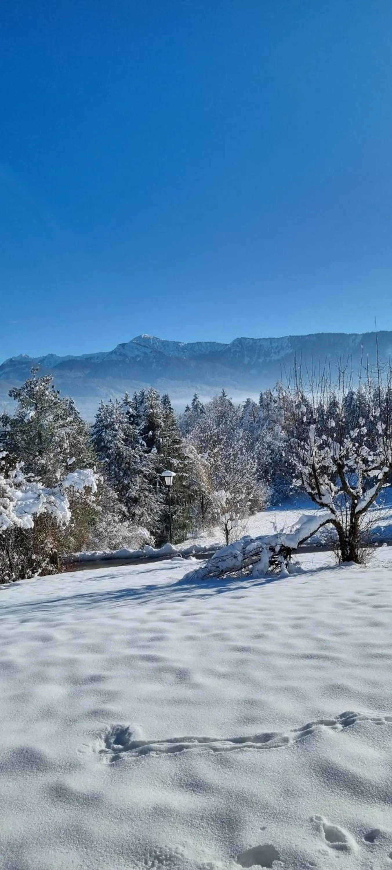Staff in Aparthotel Werdenfels