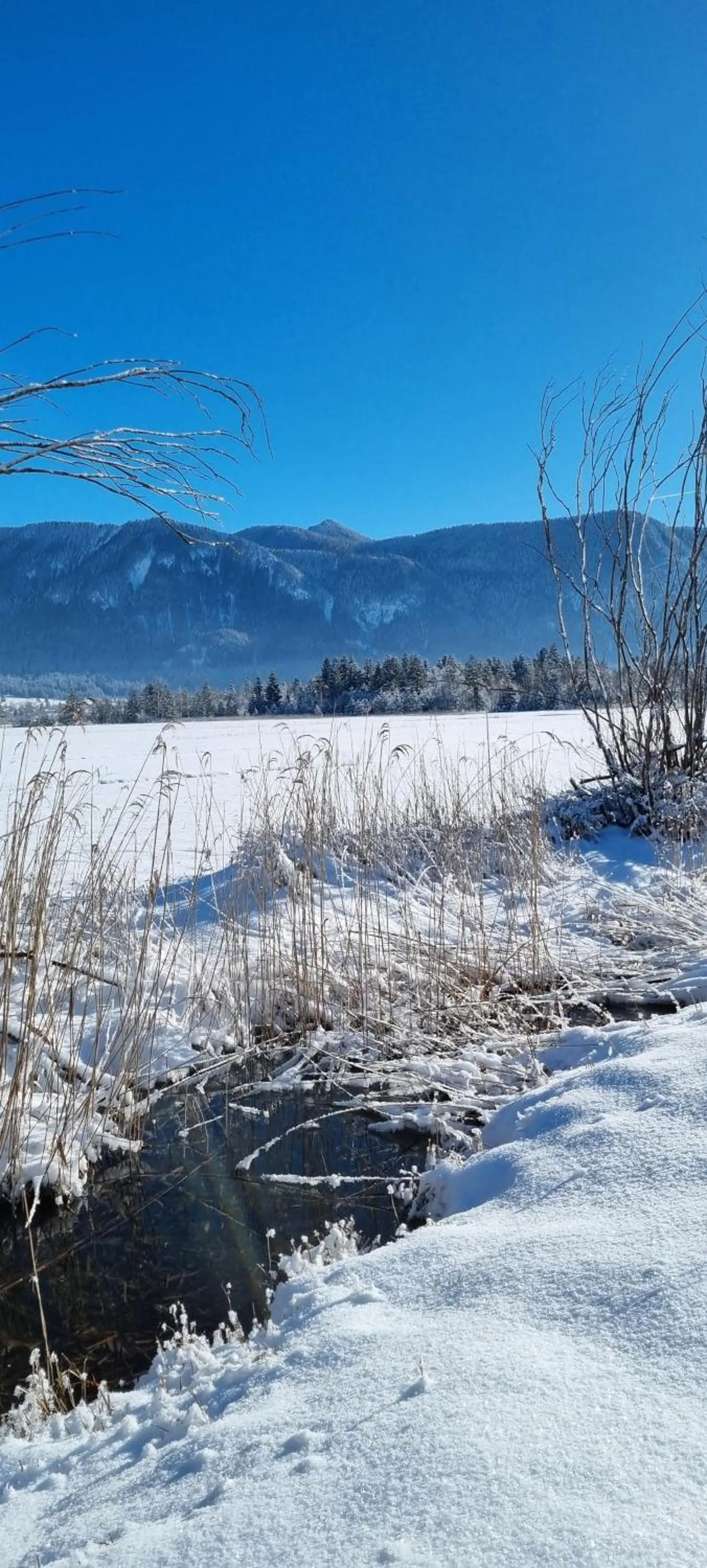 Winter in Aparthotel Werdenfels