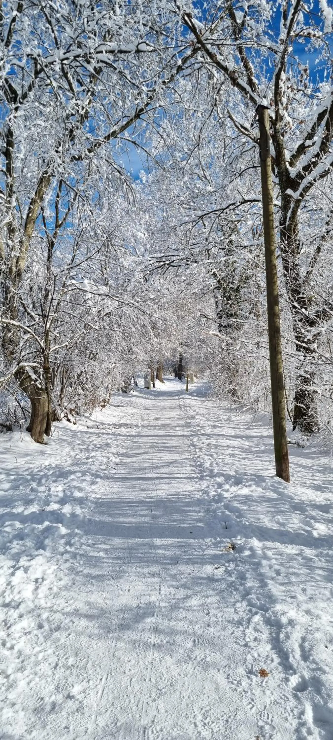 Nearby landmark in Aparthotel Werdenfels
