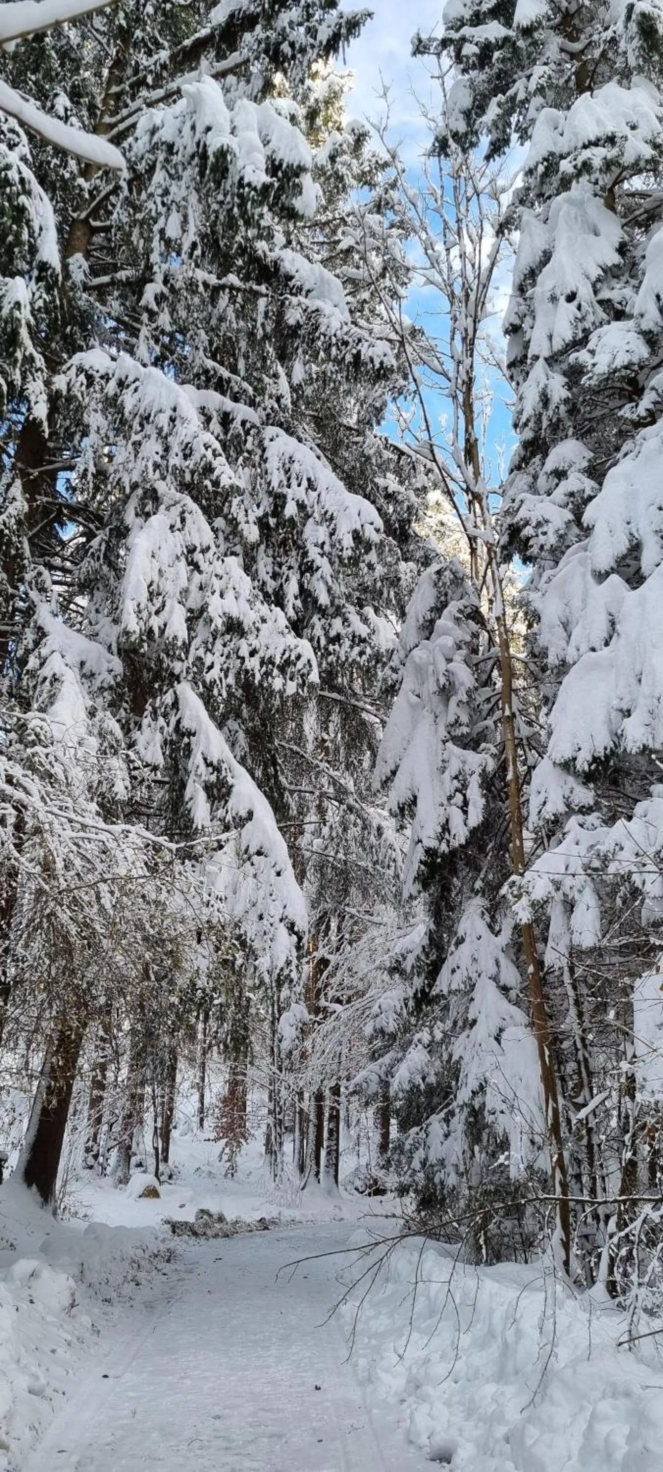 Winter in Aparthotel Werdenfels