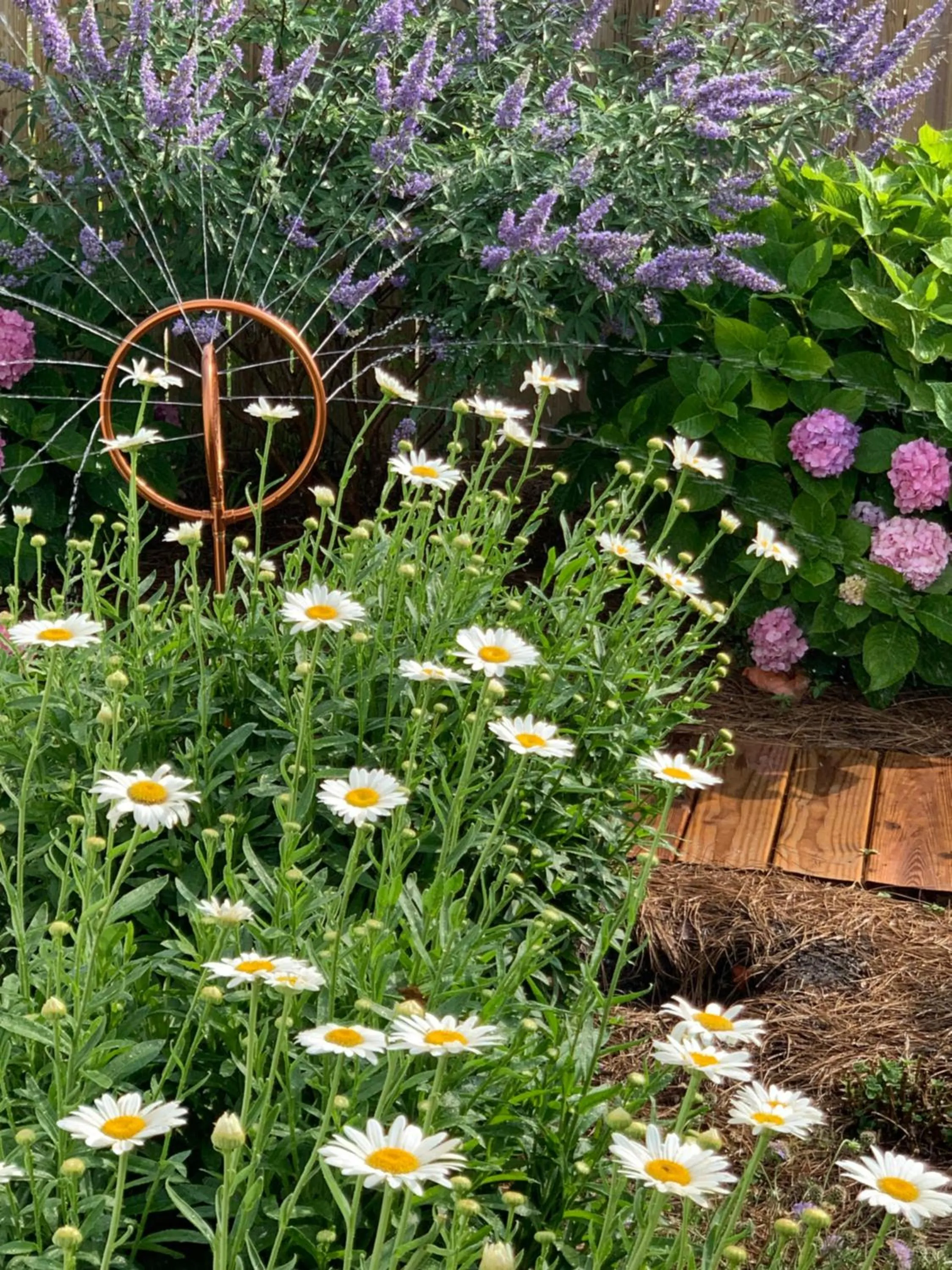 Garden in Inn on Turner