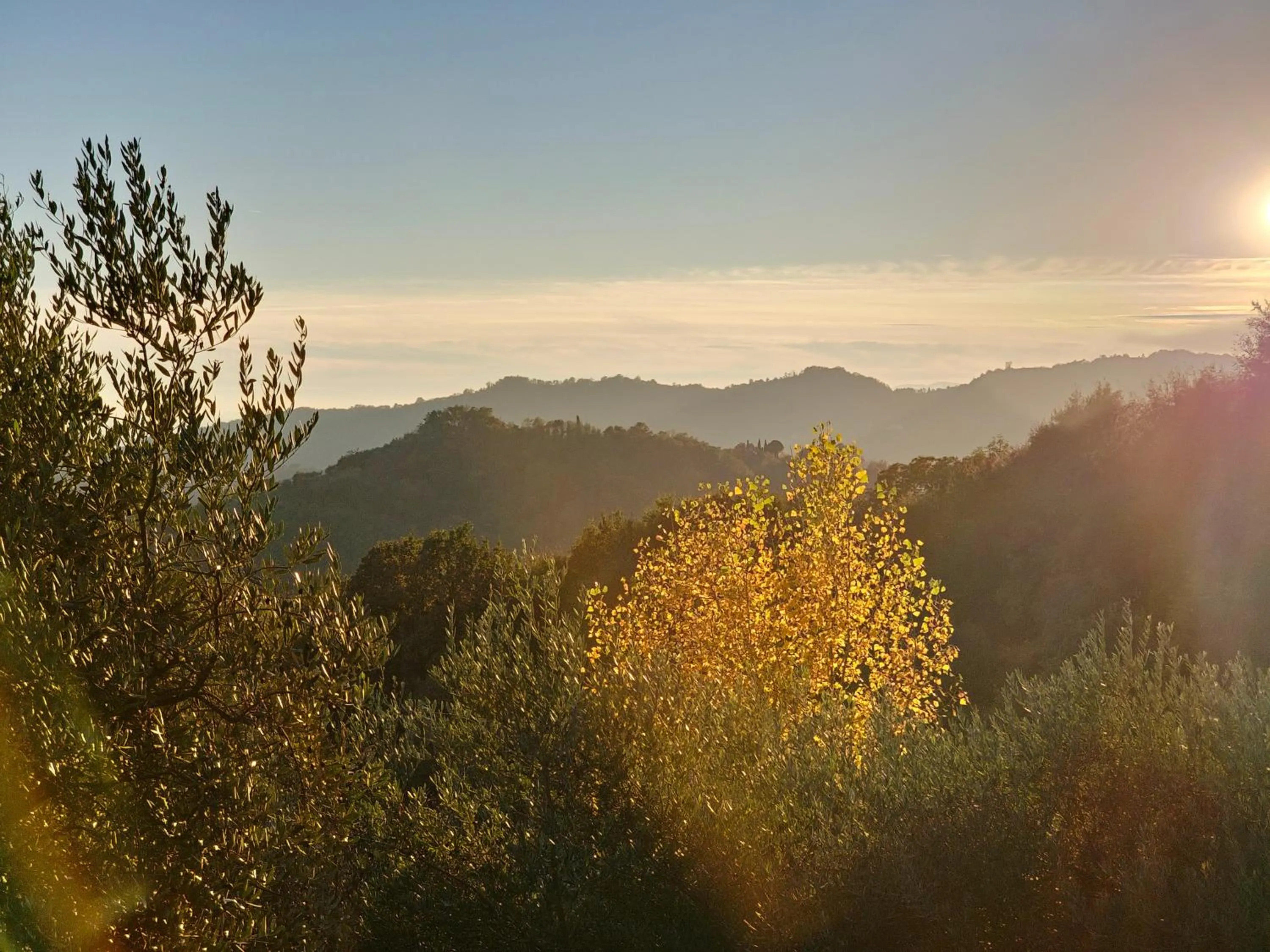 Sunset in B&b Ca'Baracca Bellavista