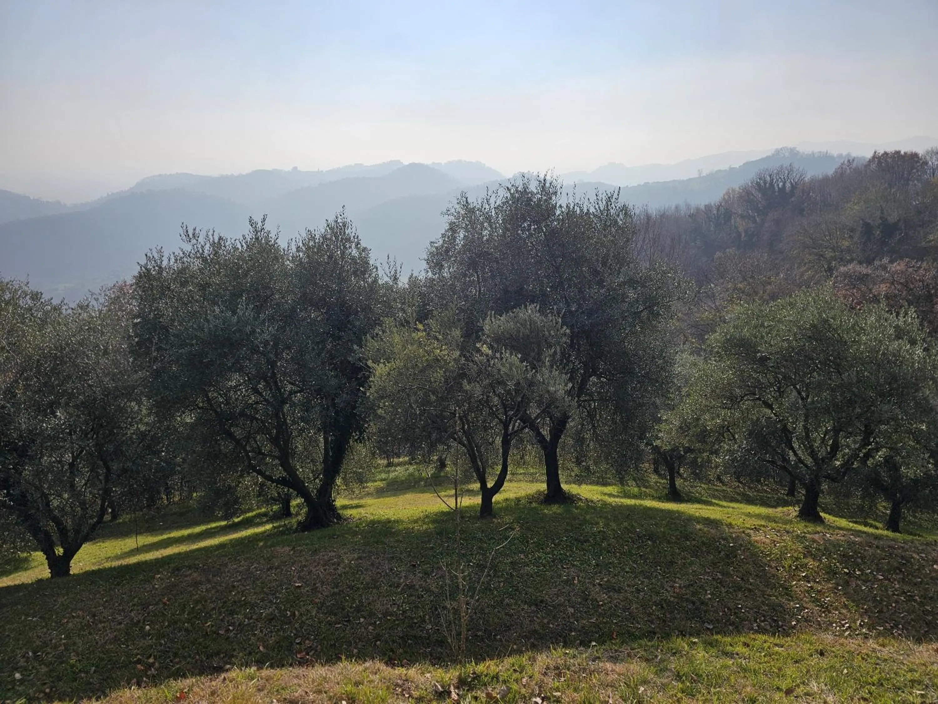 B&b Ca'Baracca Bellavista