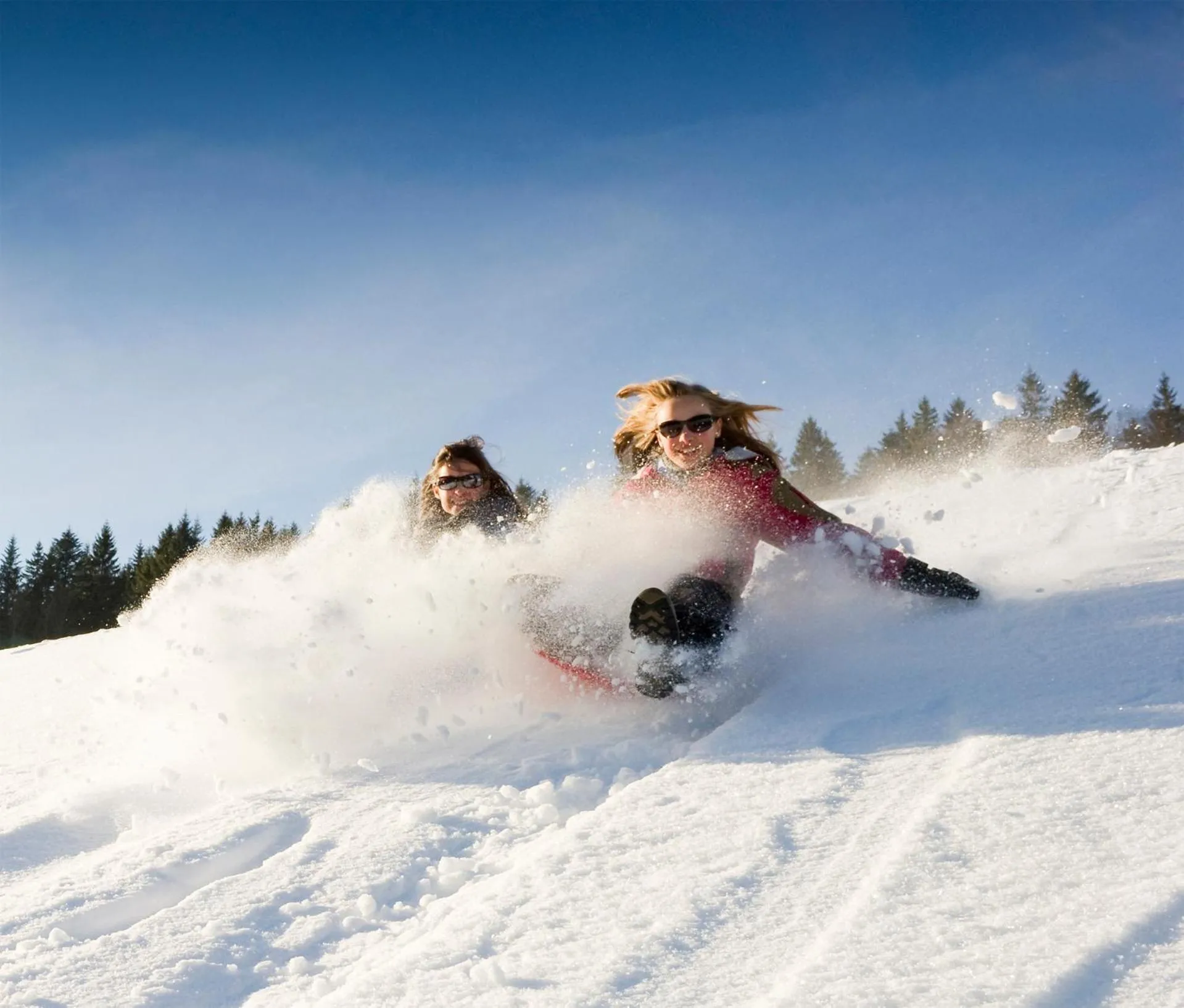 Activities in Berghaus Freiburg - Appartement Hotel auf dem Schauinsland