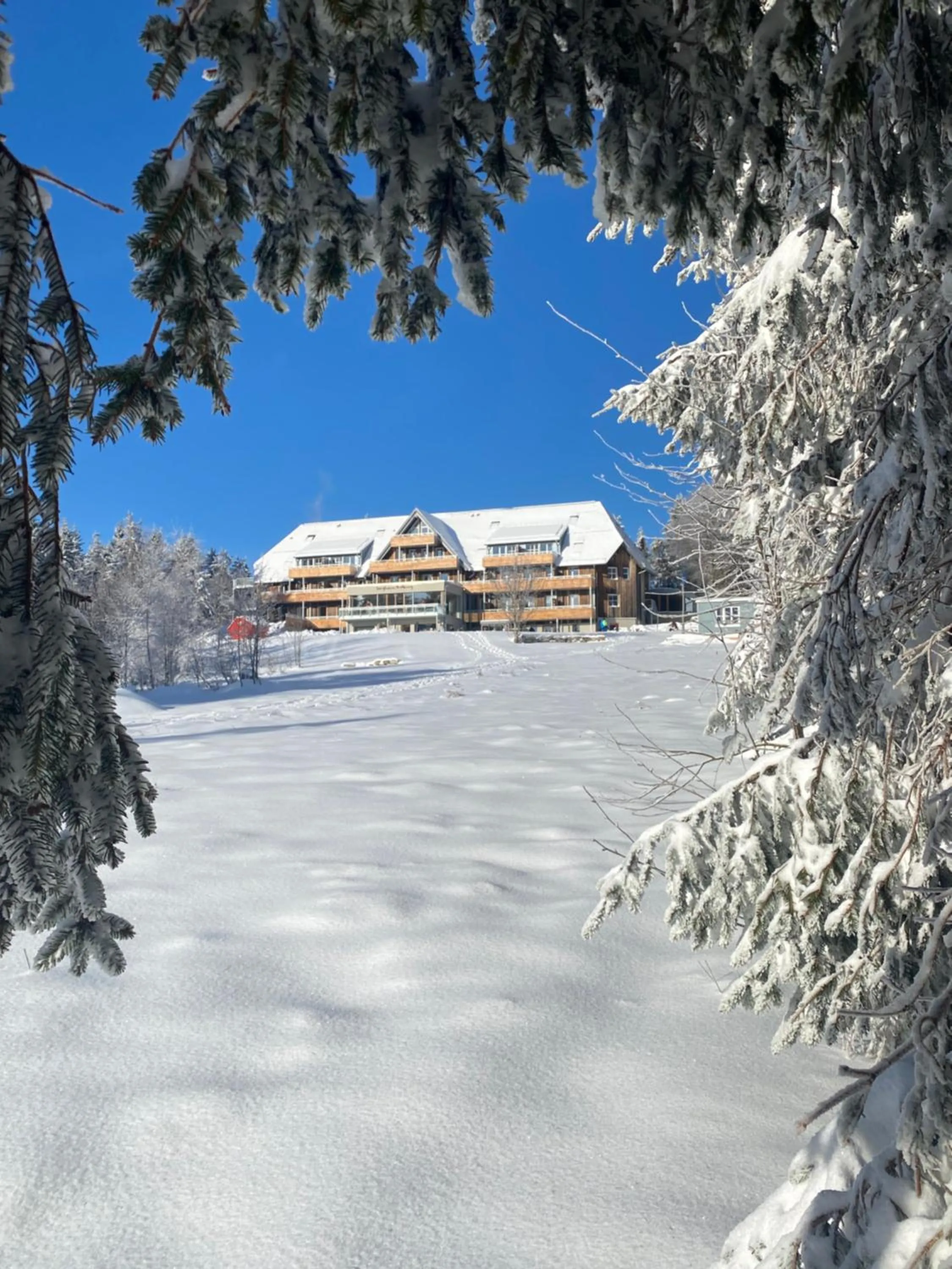 Property building in Berghaus Freiburg - Appartement Hotel auf dem Schauinsland
