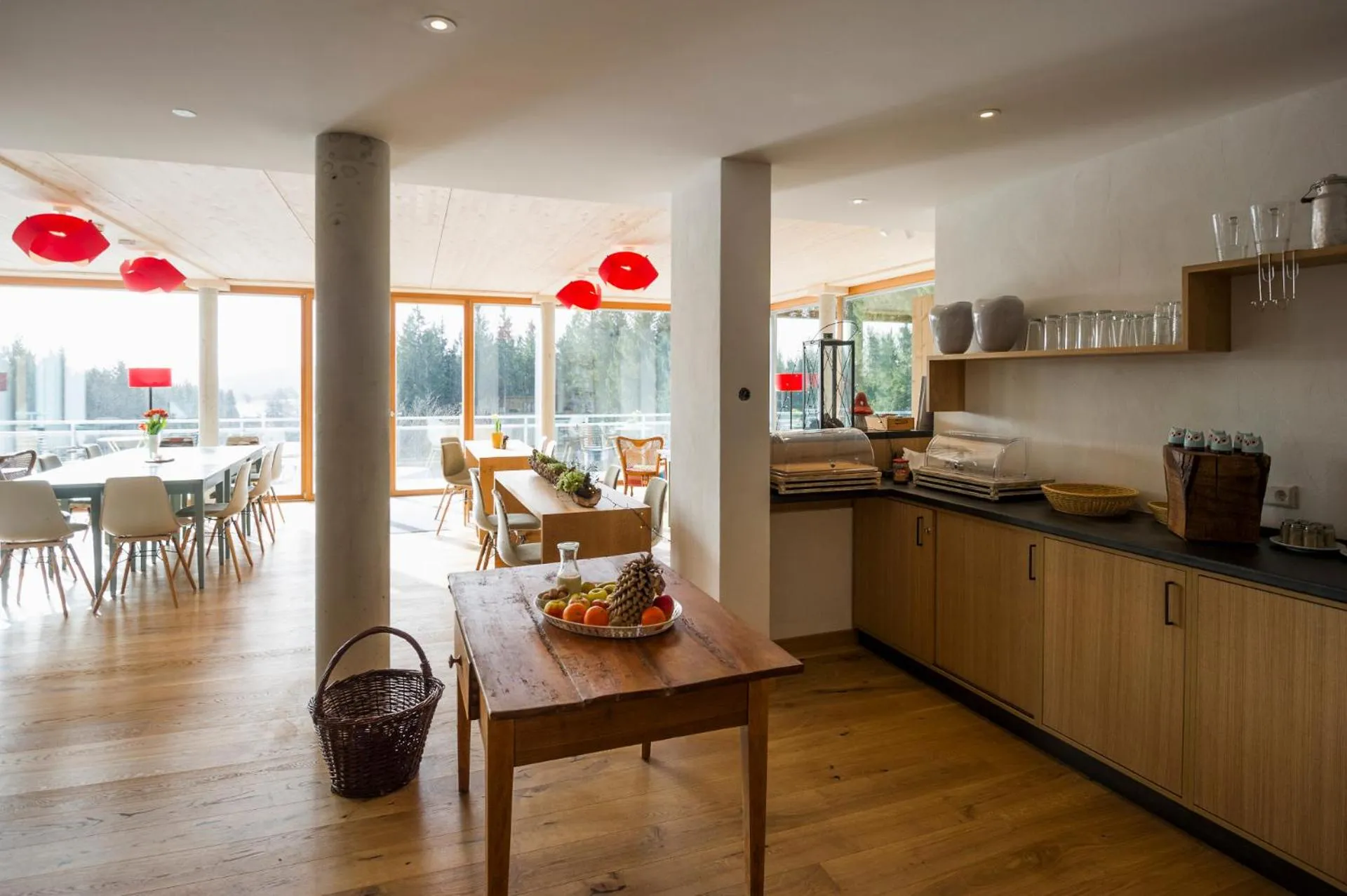 Communal lounge/ TV room in Berghaus Freiburg - Appartement Hotel auf dem Schauinsland