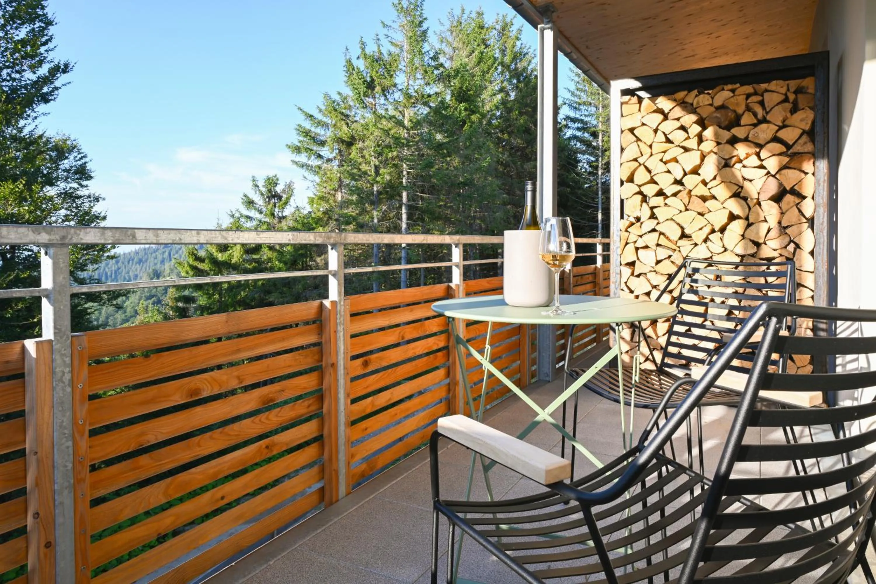 Balcony/Terrace in Berghaus Freiburg - Appartement Hotel auf dem Schauinsland