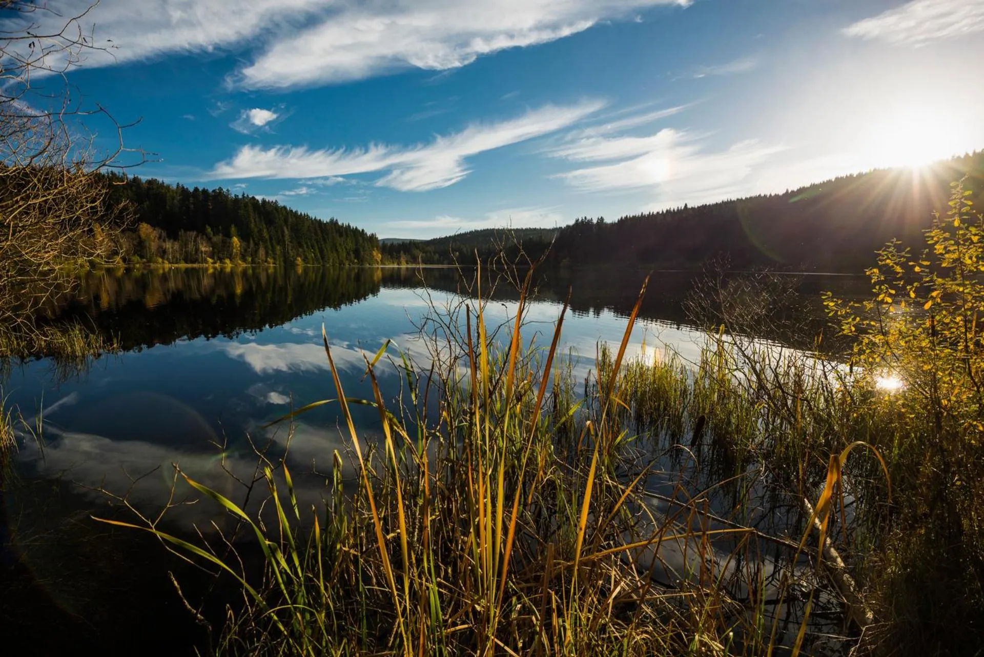 Natural landscape in Berghaus Freiburg - Appartement Hotel auf dem Schauinsland