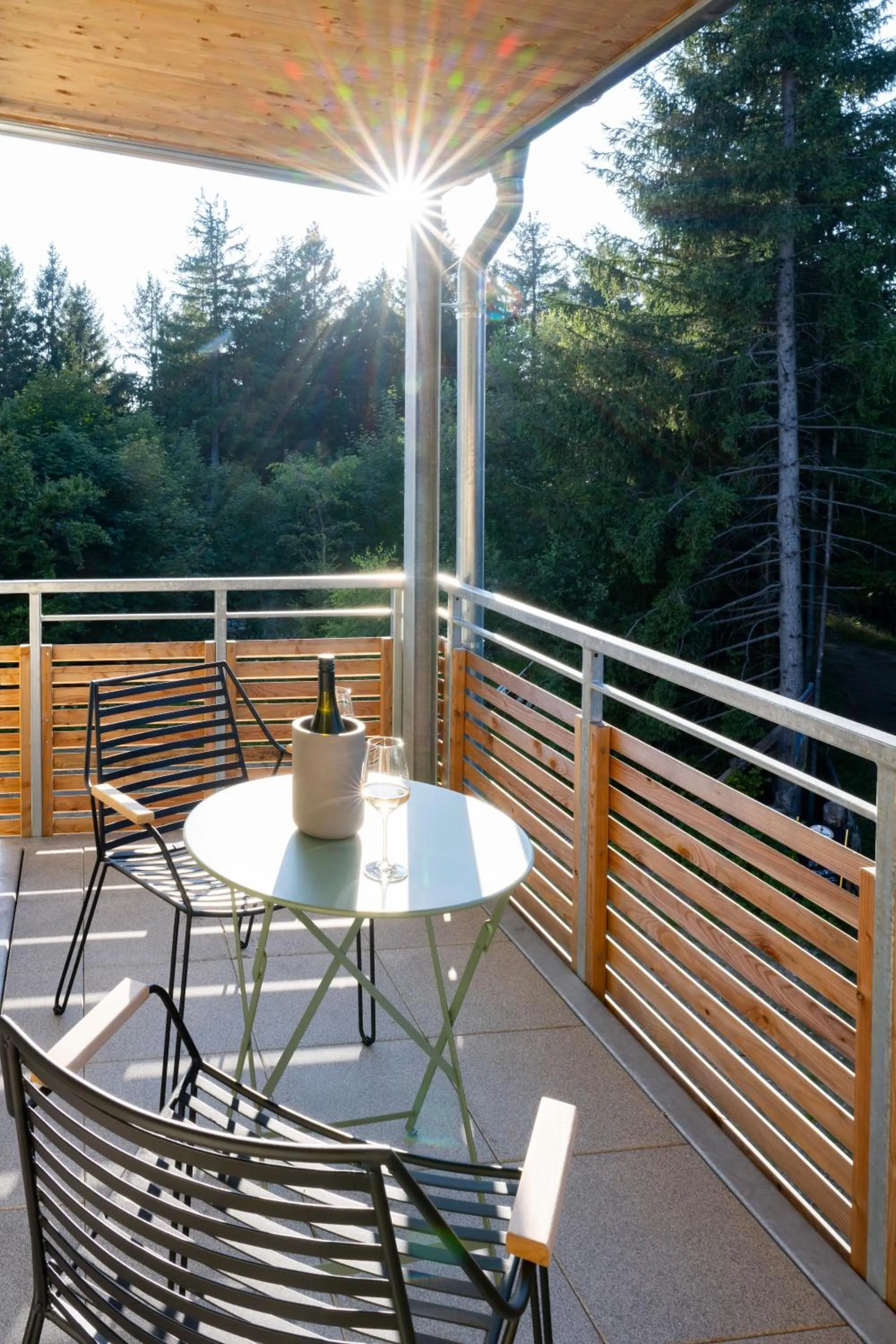 Balcony/Terrace in Berghaus Freiburg - Appartement Hotel auf dem Schauinsland