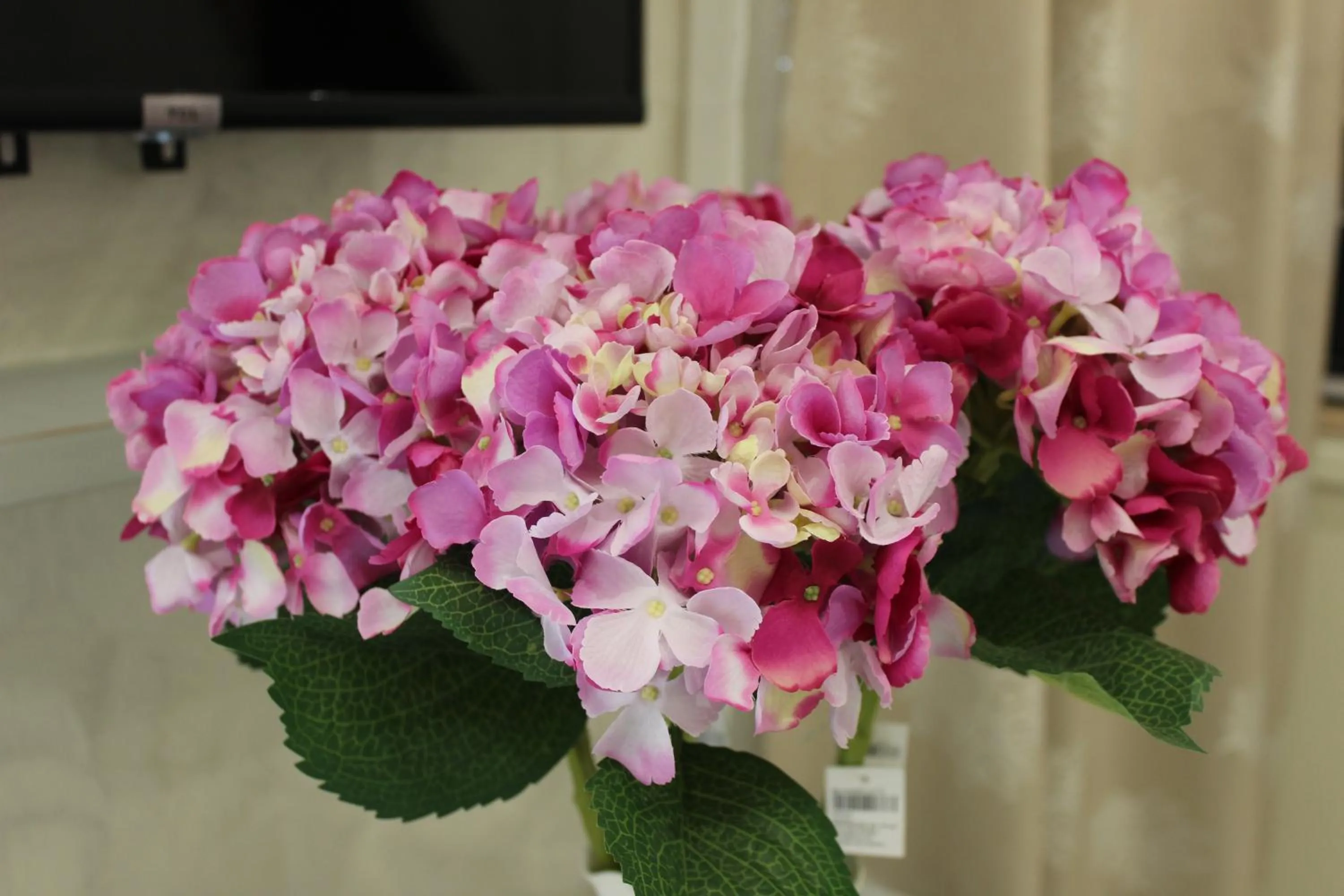 MEDUSA Residence B&B