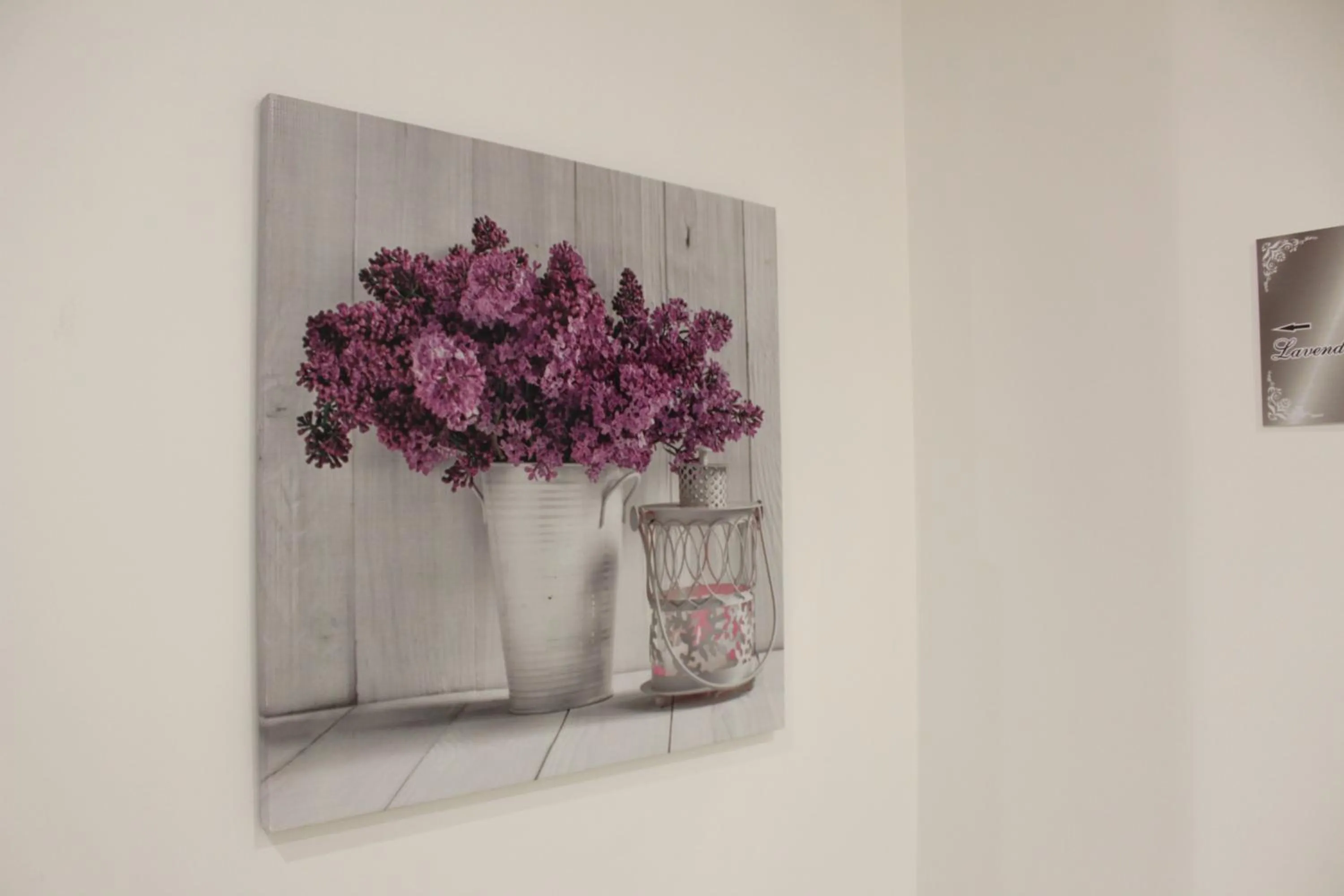 MEDUSA Residence B&B