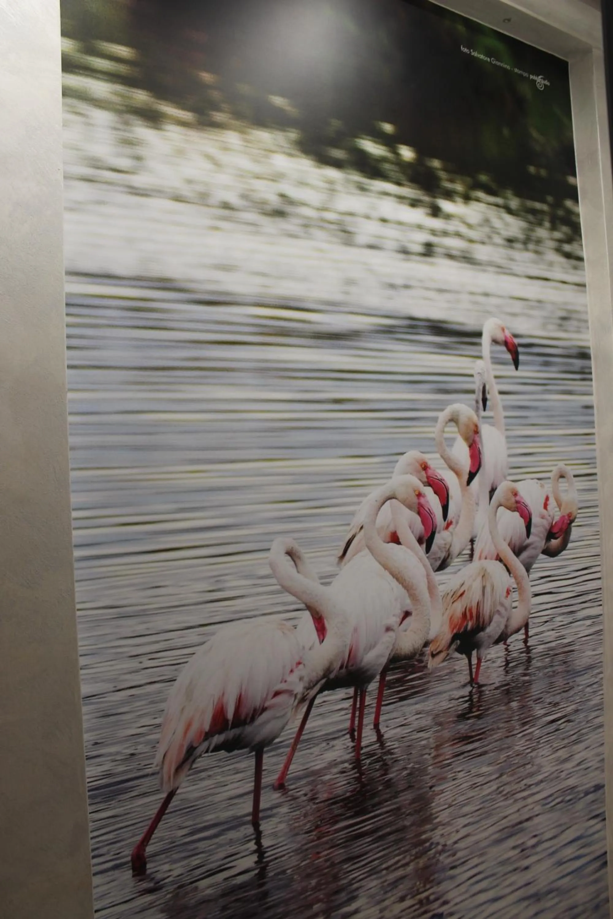 MEDUSA Residence B&B