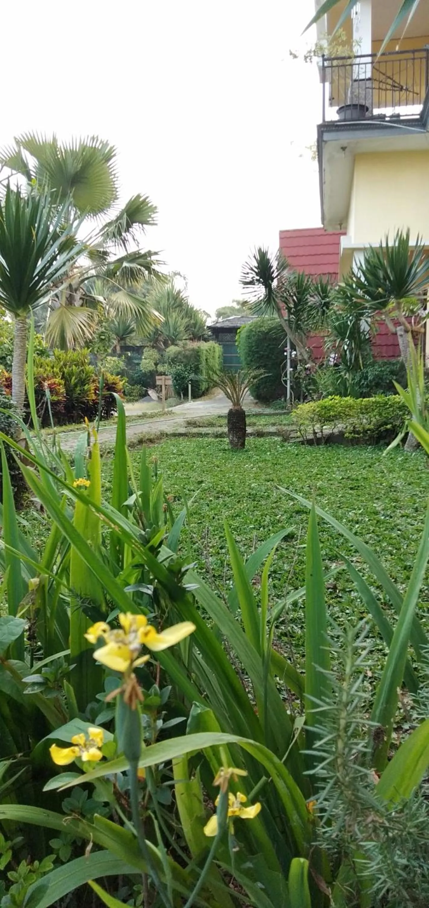 Garden in Bliss family cottage Batu