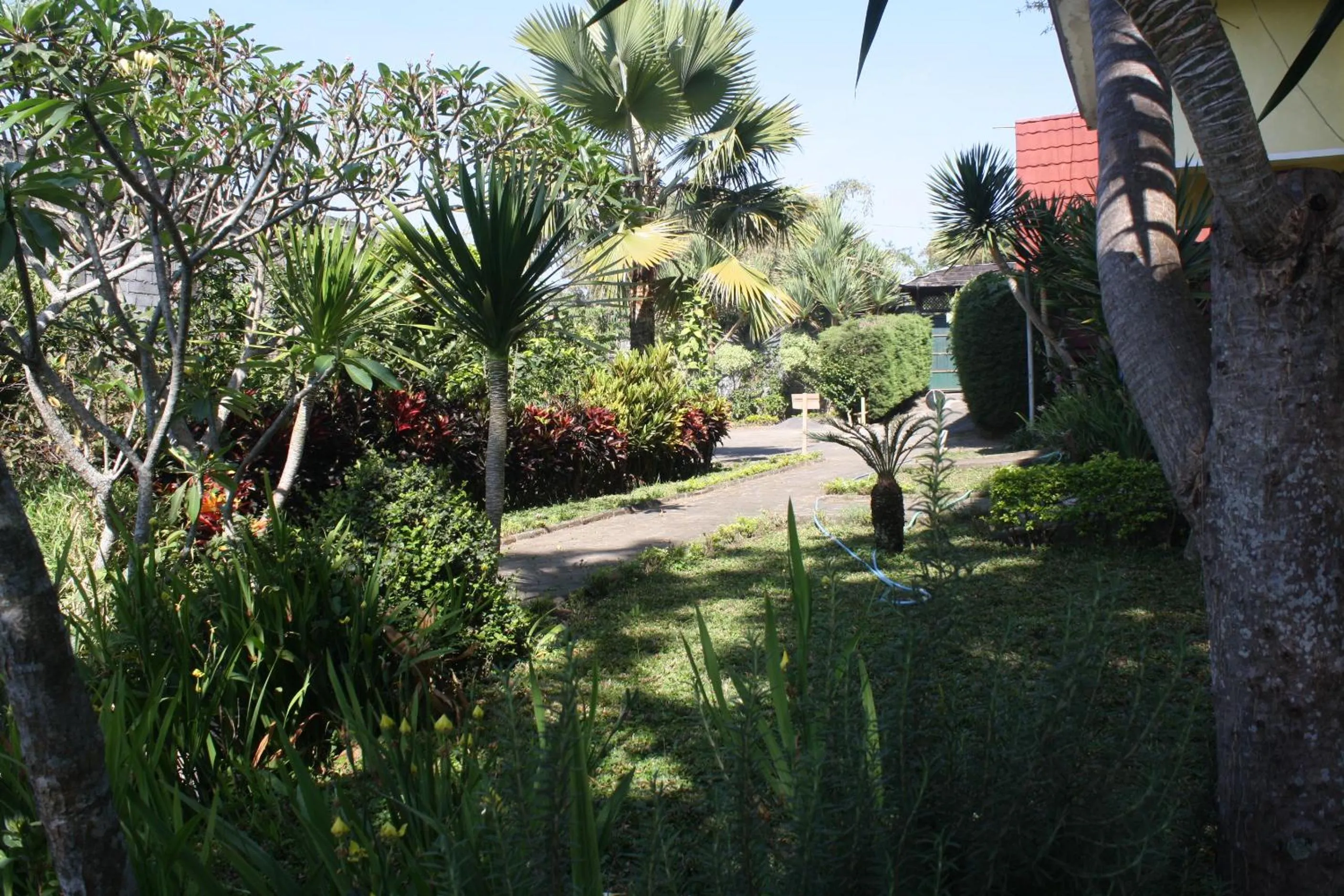 Garden in Bliss family cottage Batu