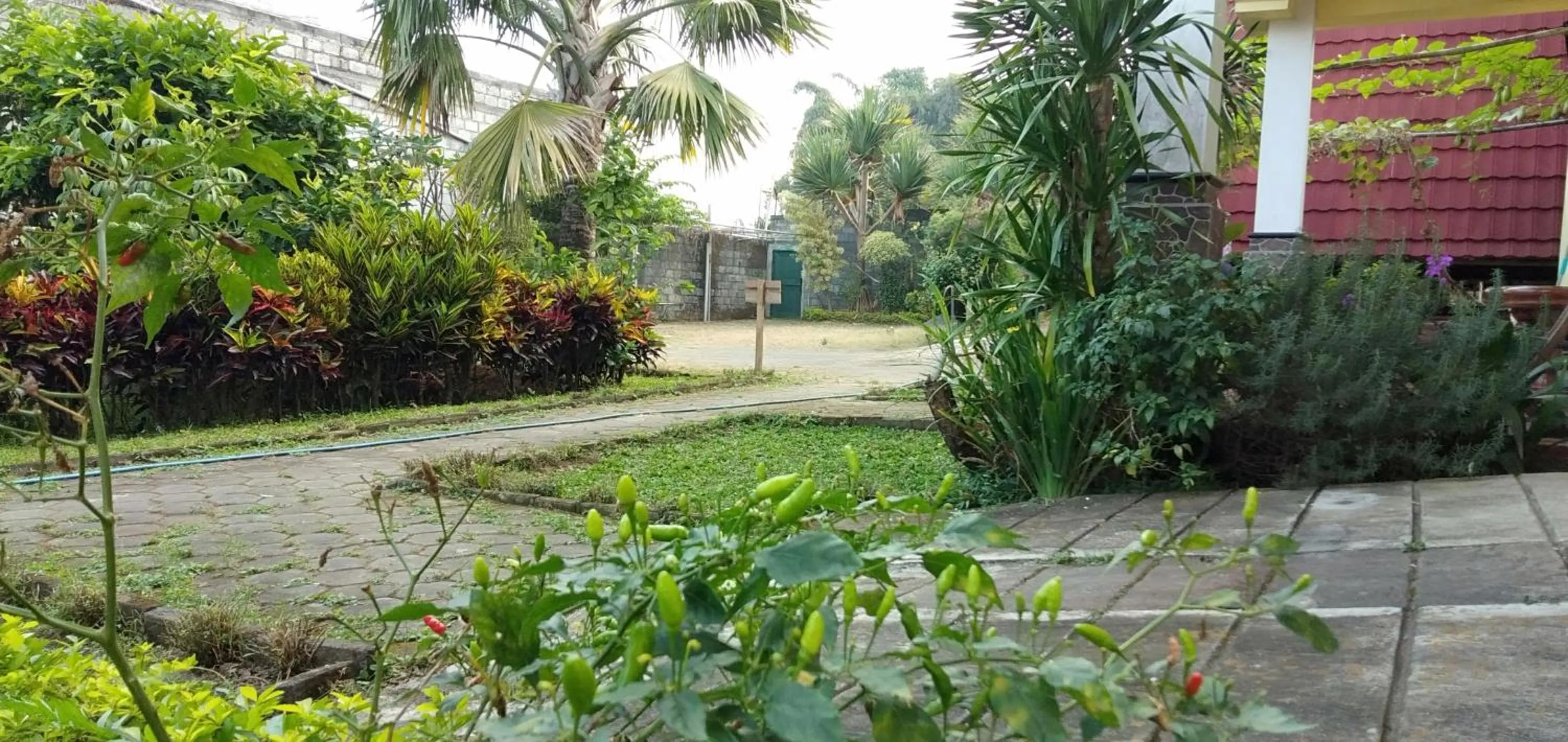 Facade/entrance in Bliss family cottage Batu