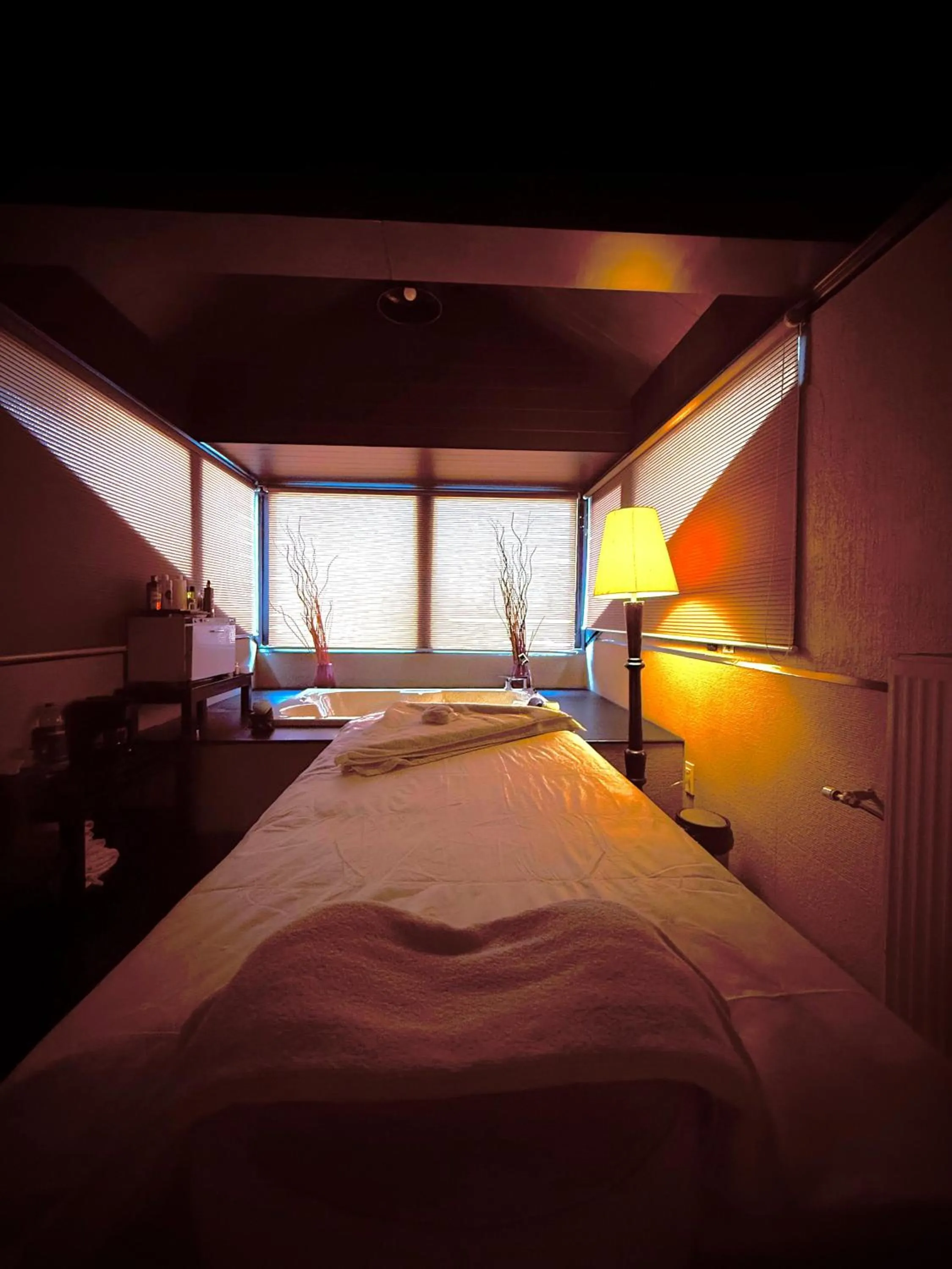 Spa and wellness centre/facilities, Bed in The Vintage Gulmarg