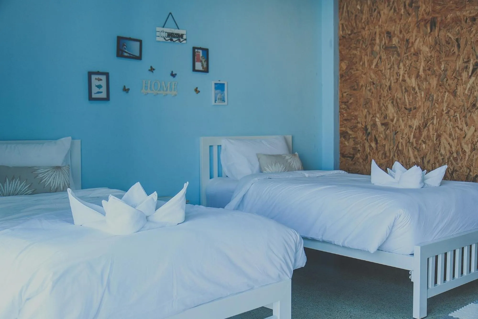 Bed in Chill Vibe Hostel