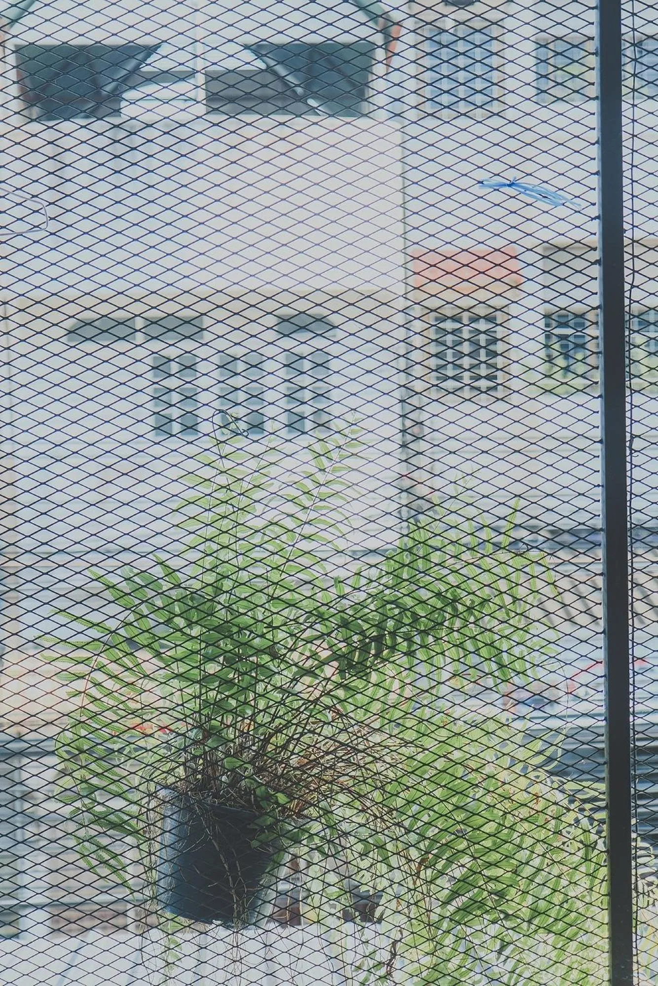 Other in Chill Vibe Hostel