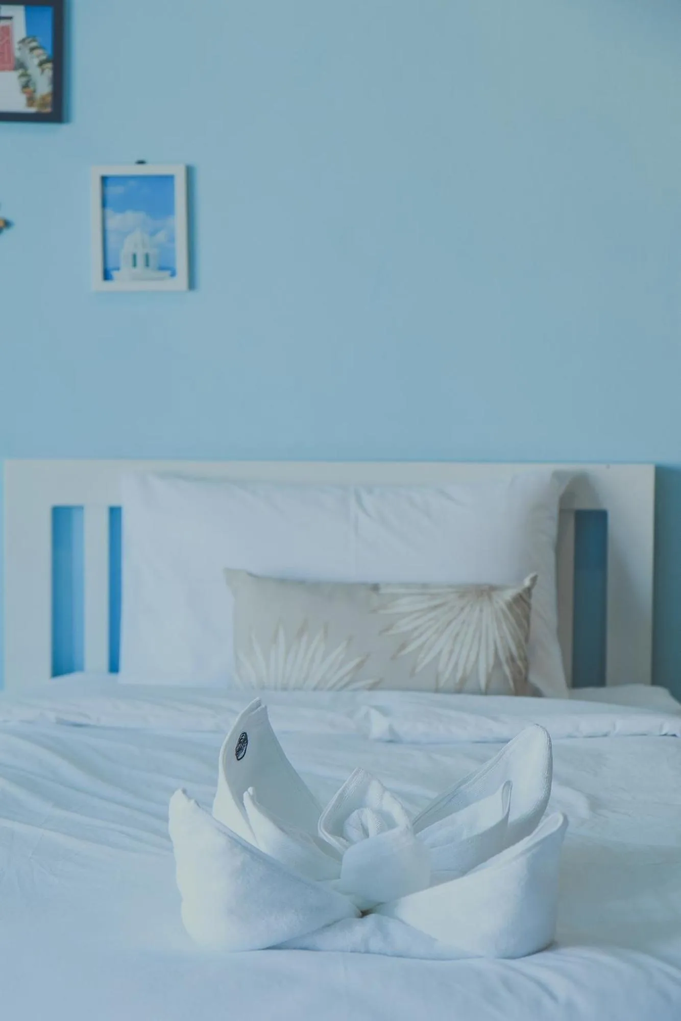 Bed in Chill Vibe Hostel