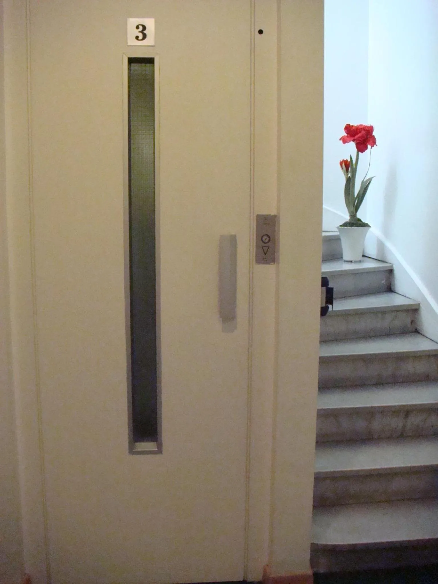 Other in Little Palace