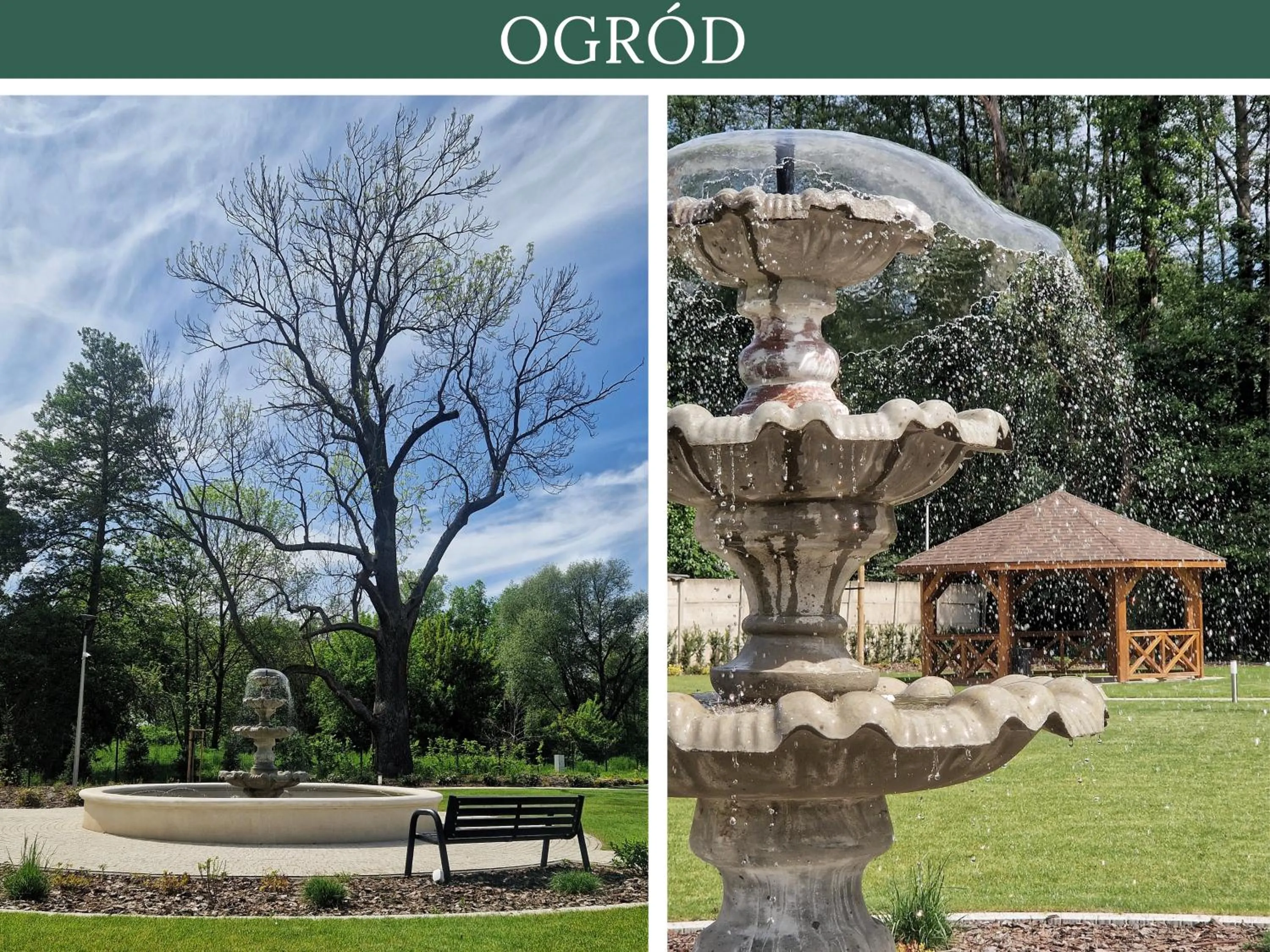 Natural landscape in Hotel RED