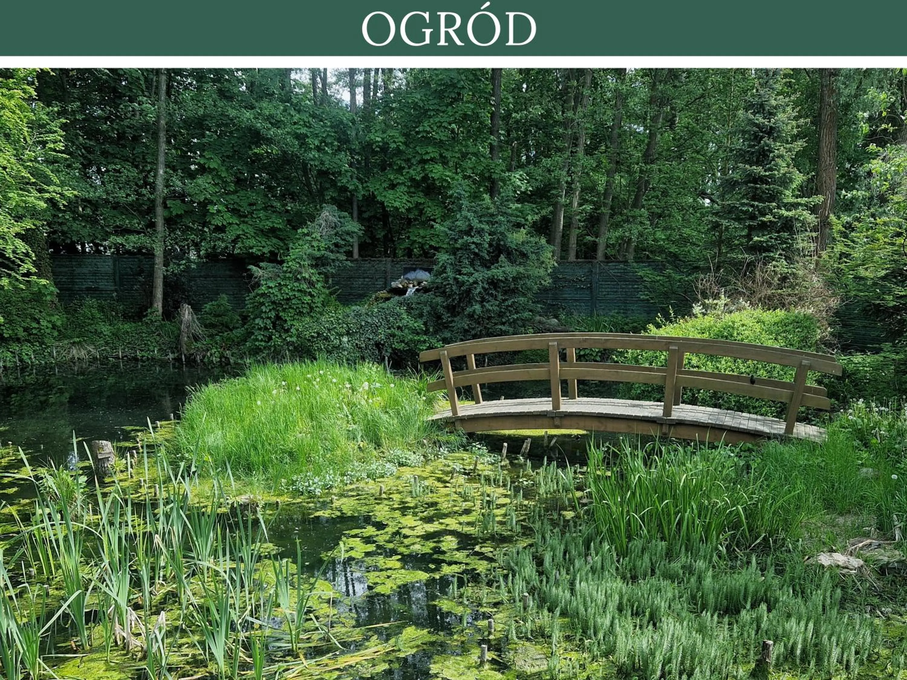 Natural landscape in Hotel RED