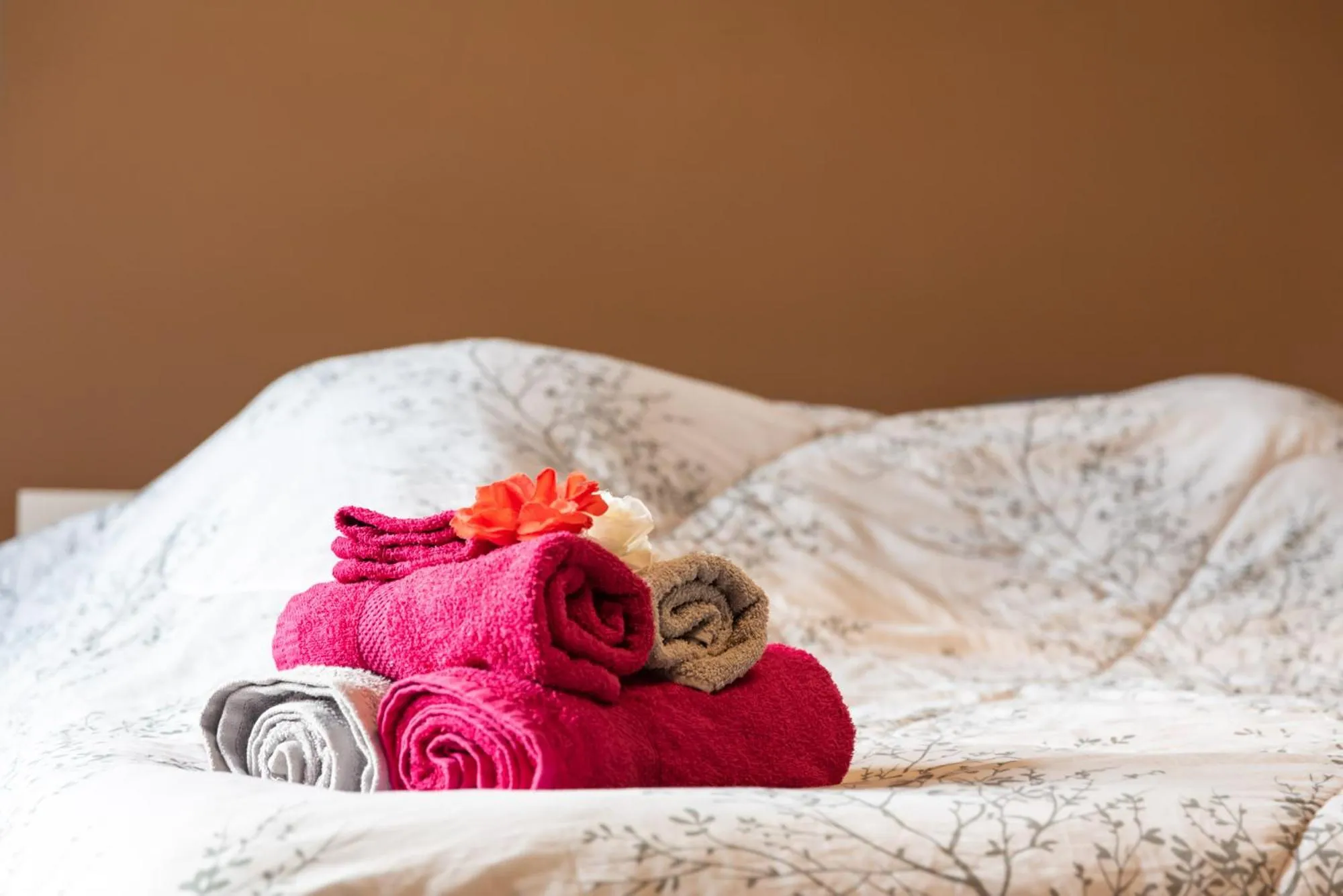 Double Room with Spa Bath in Centre Au Chardon