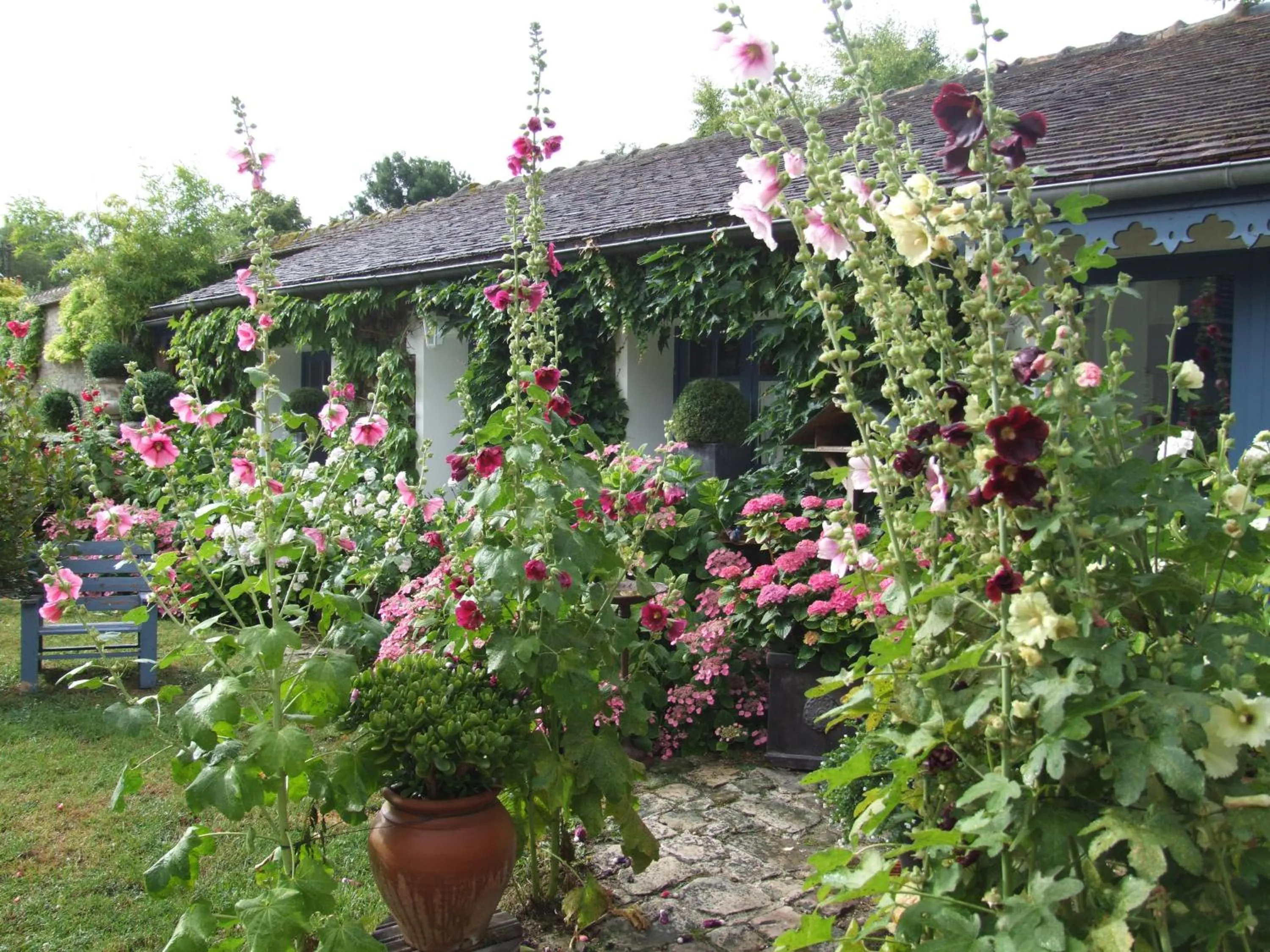 Spring in Les Glycines