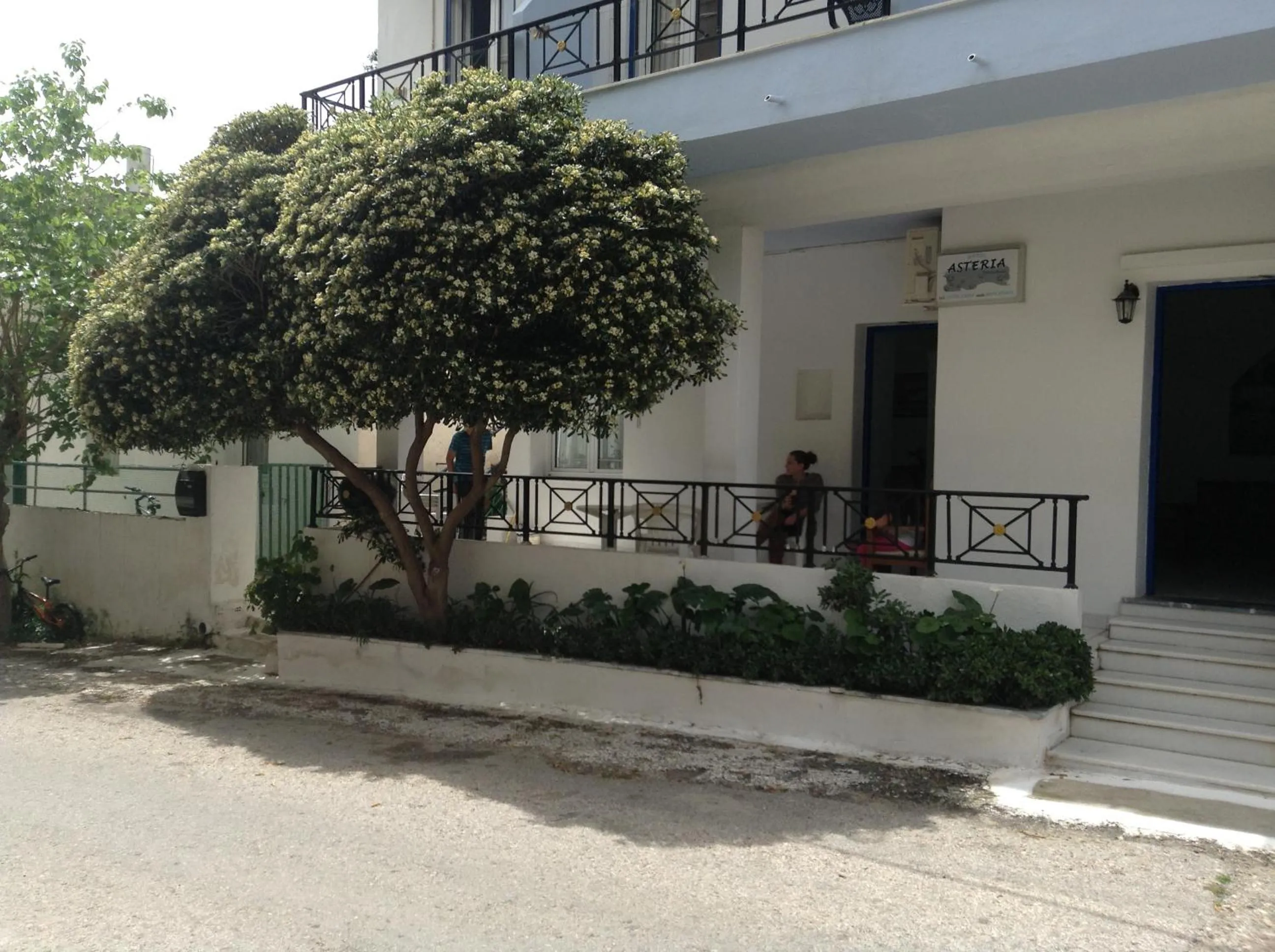 Property building in Hotel Asteria