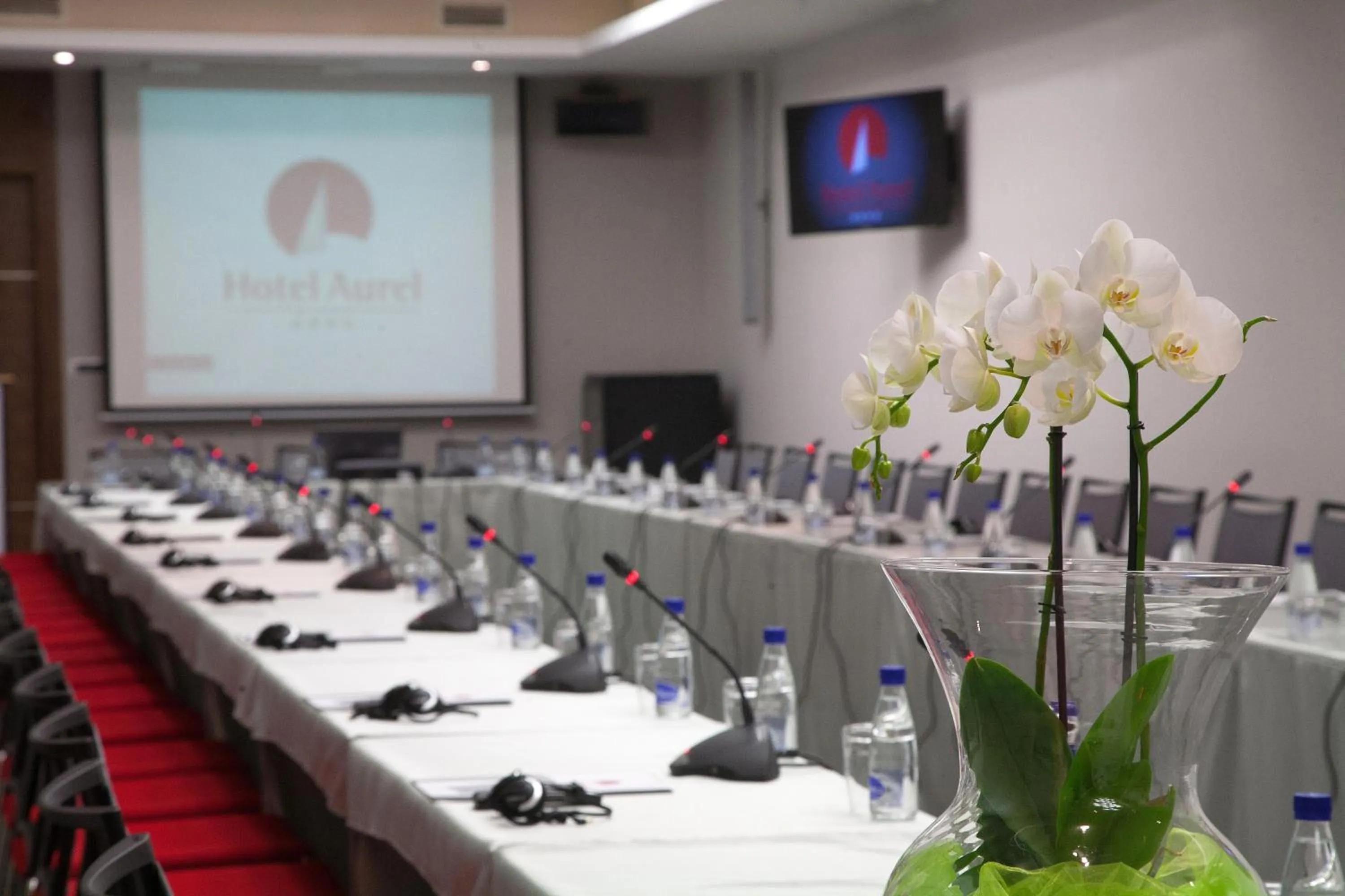 Business facilities in Hotel Aurel