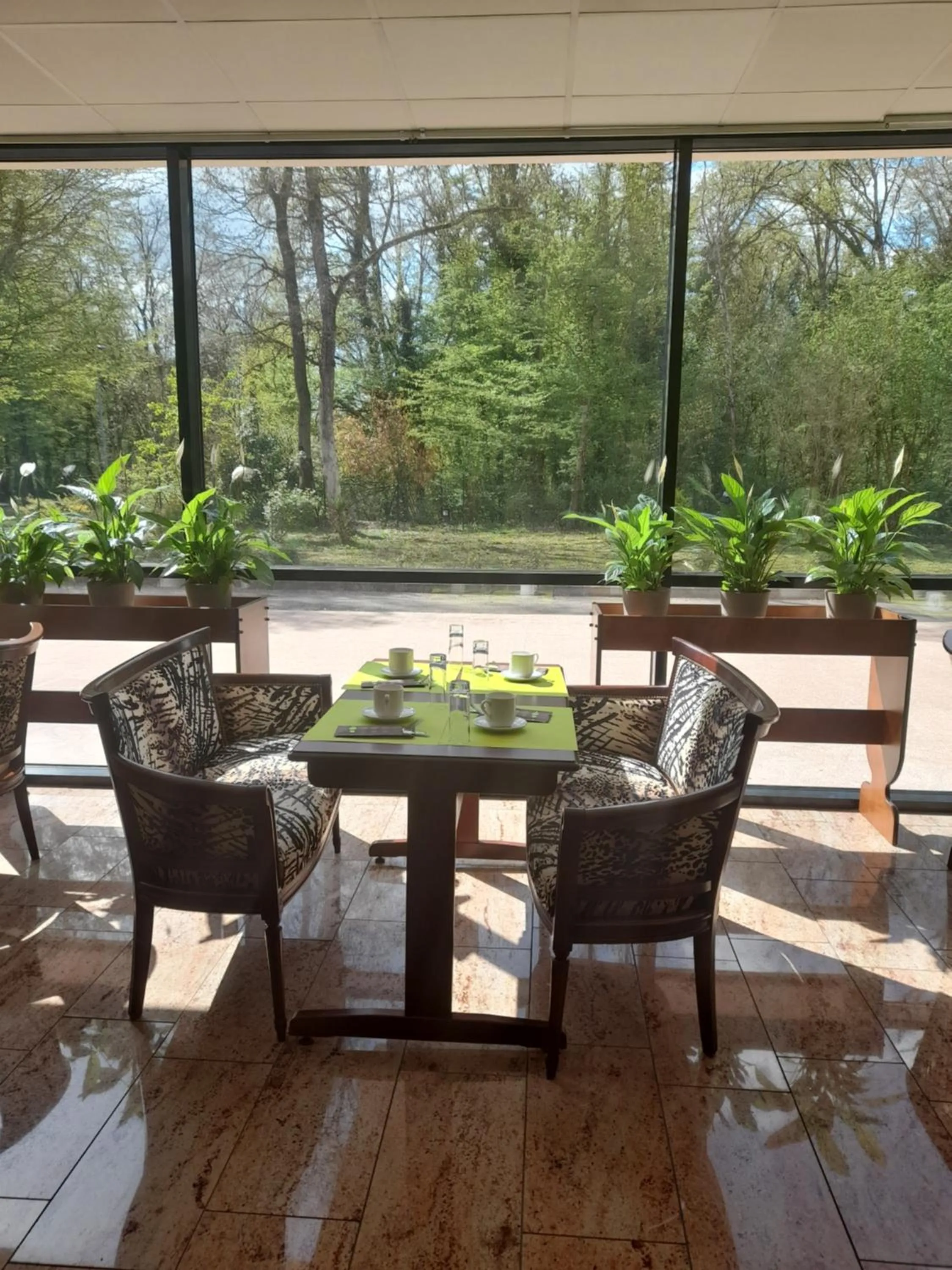 Garden view in Hôtel Marso