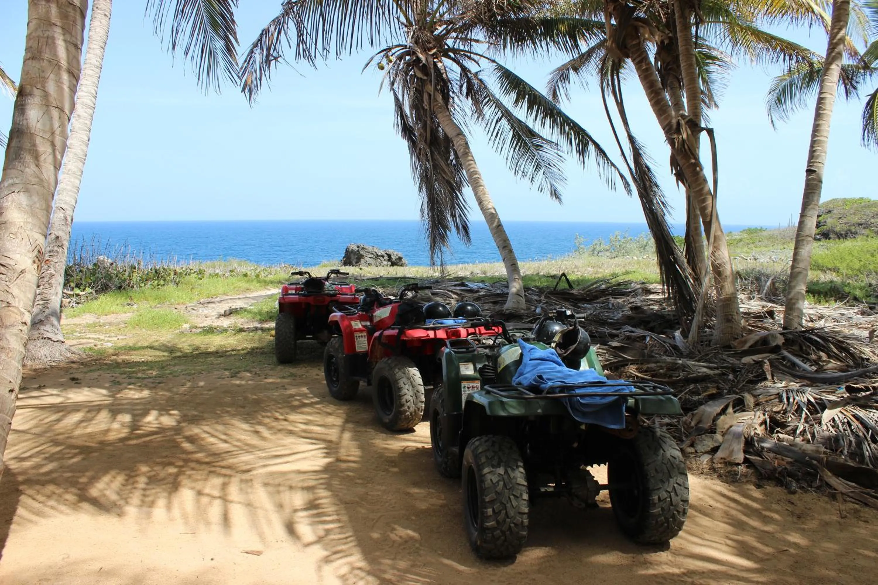 Activities in Hotel Villa Serena