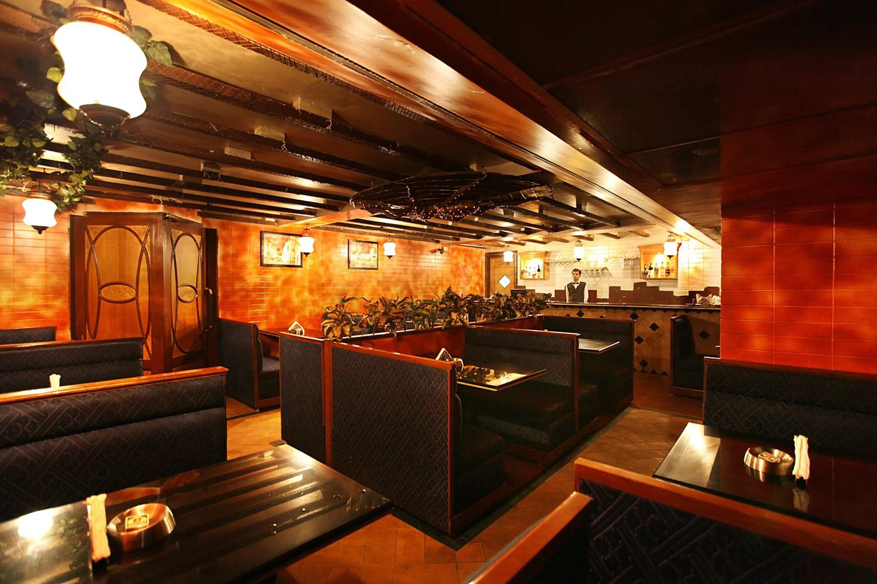 Lunch in Brijwasi Royal