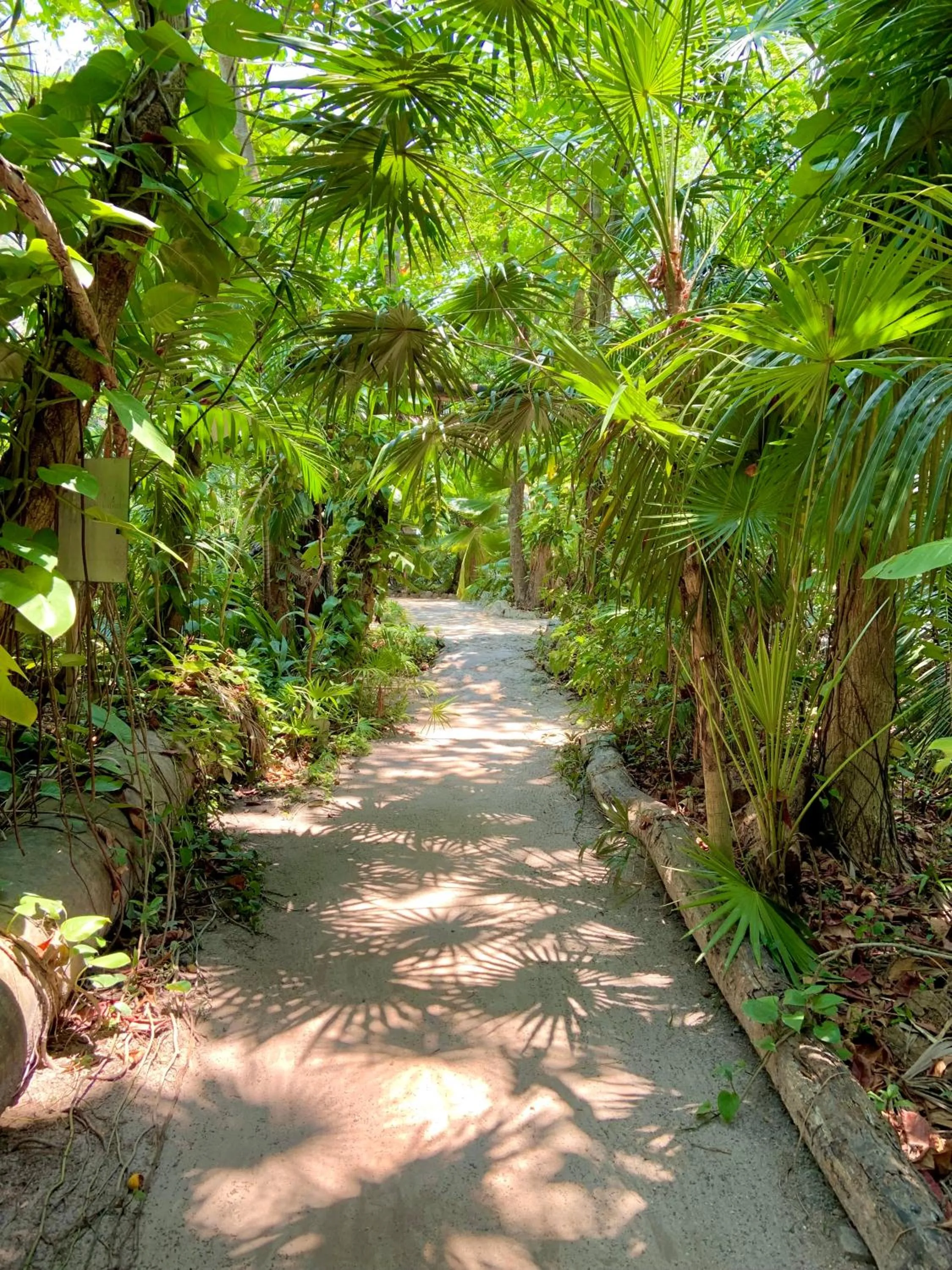 Property building in Xanadu Island Resort