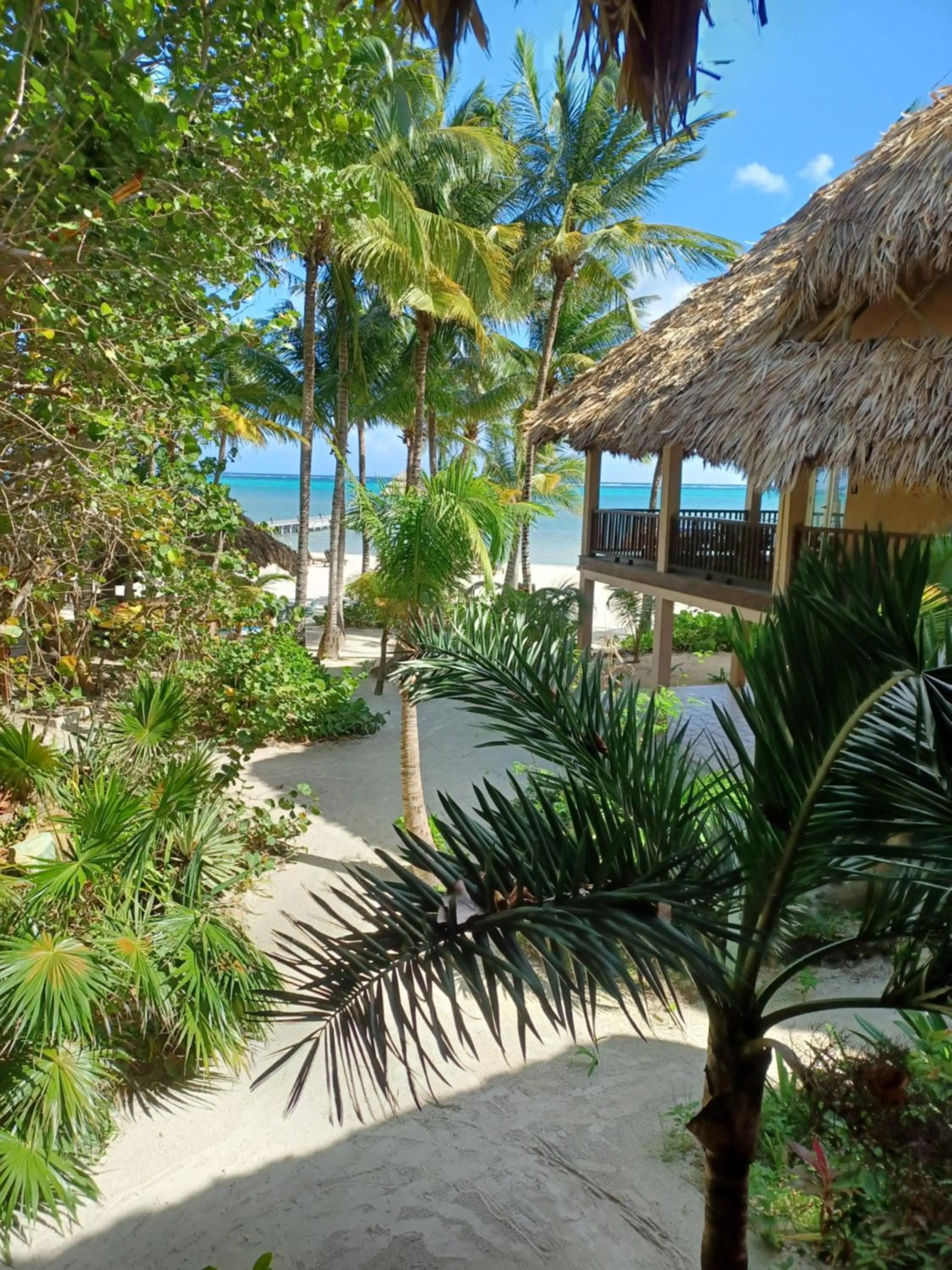 Natural landscape in Xanadu Island Resort