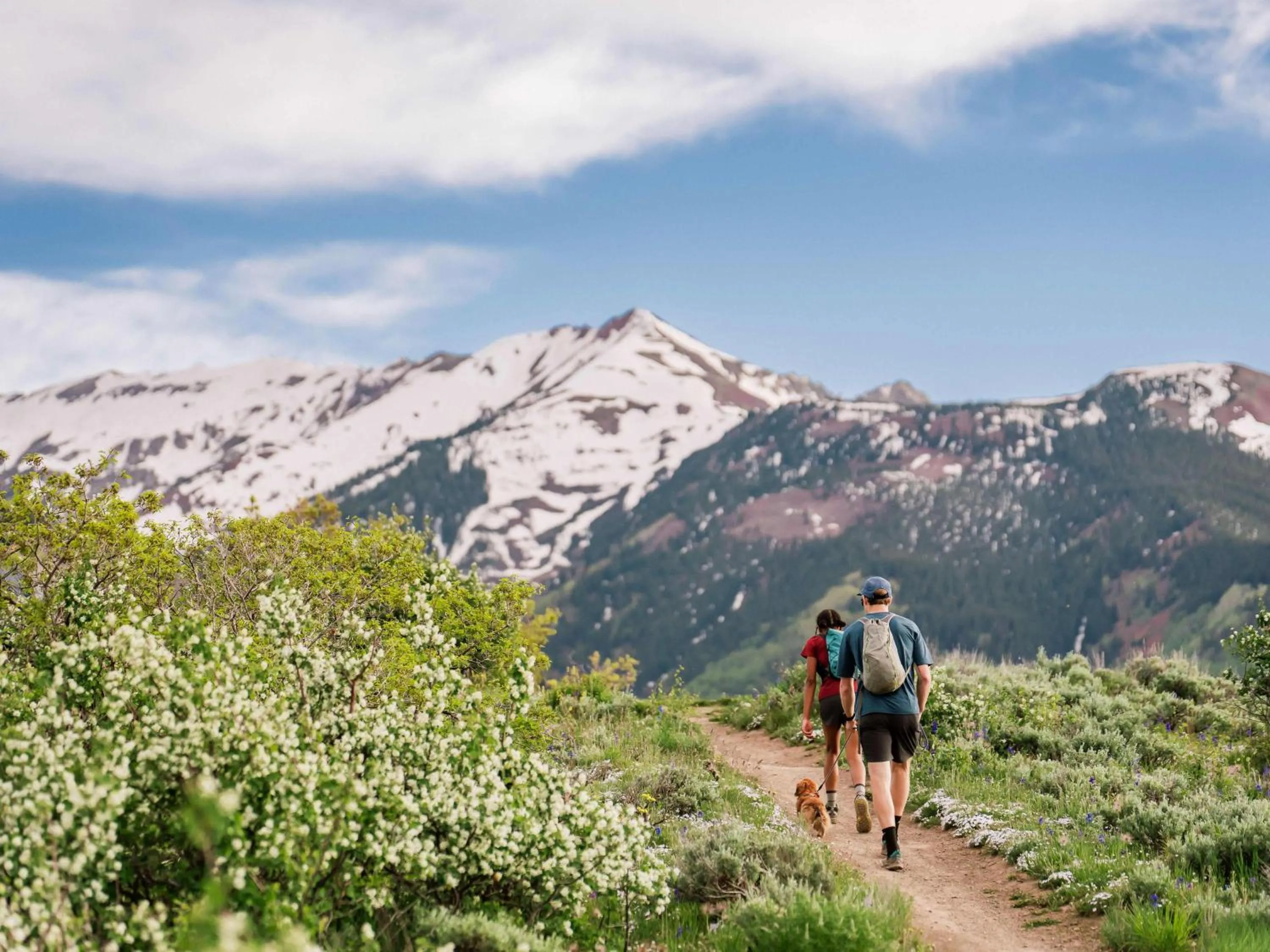 Lichenhearth - CoralTree Residence Collection