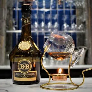 Best Western Regency Inn